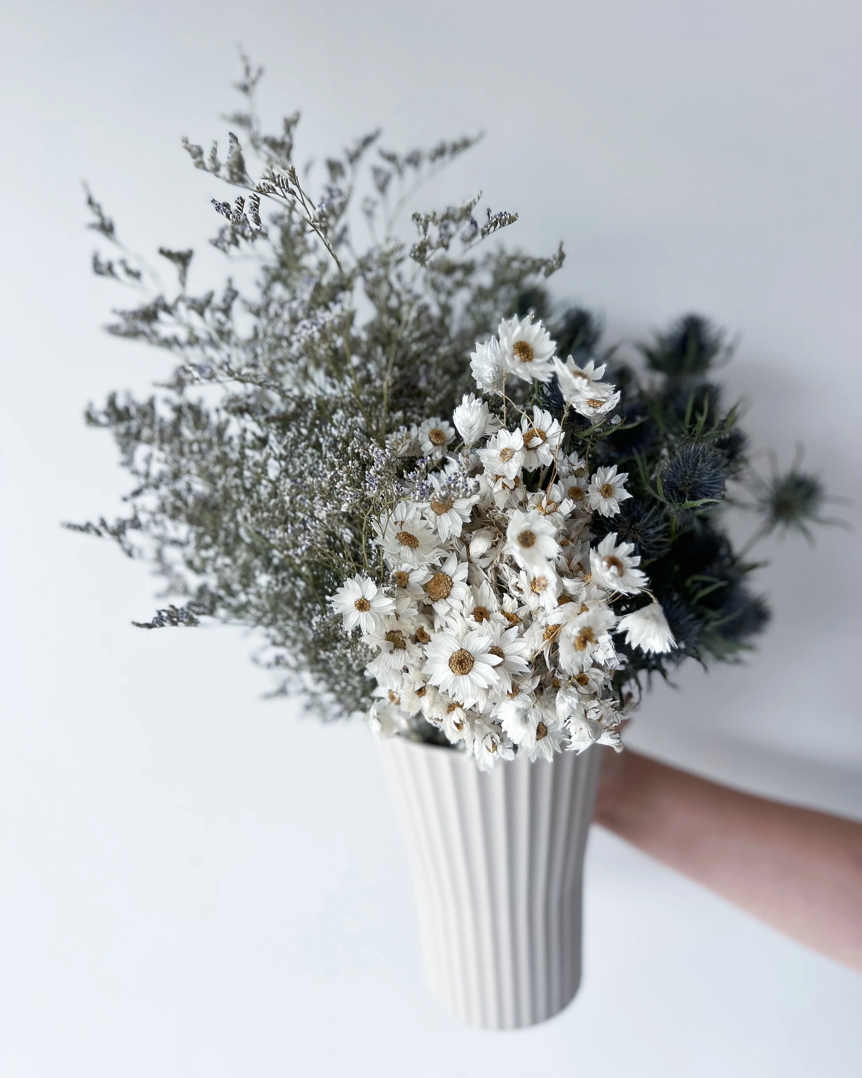 PRE ORDER LATE MAY - AMELIA - Image 4