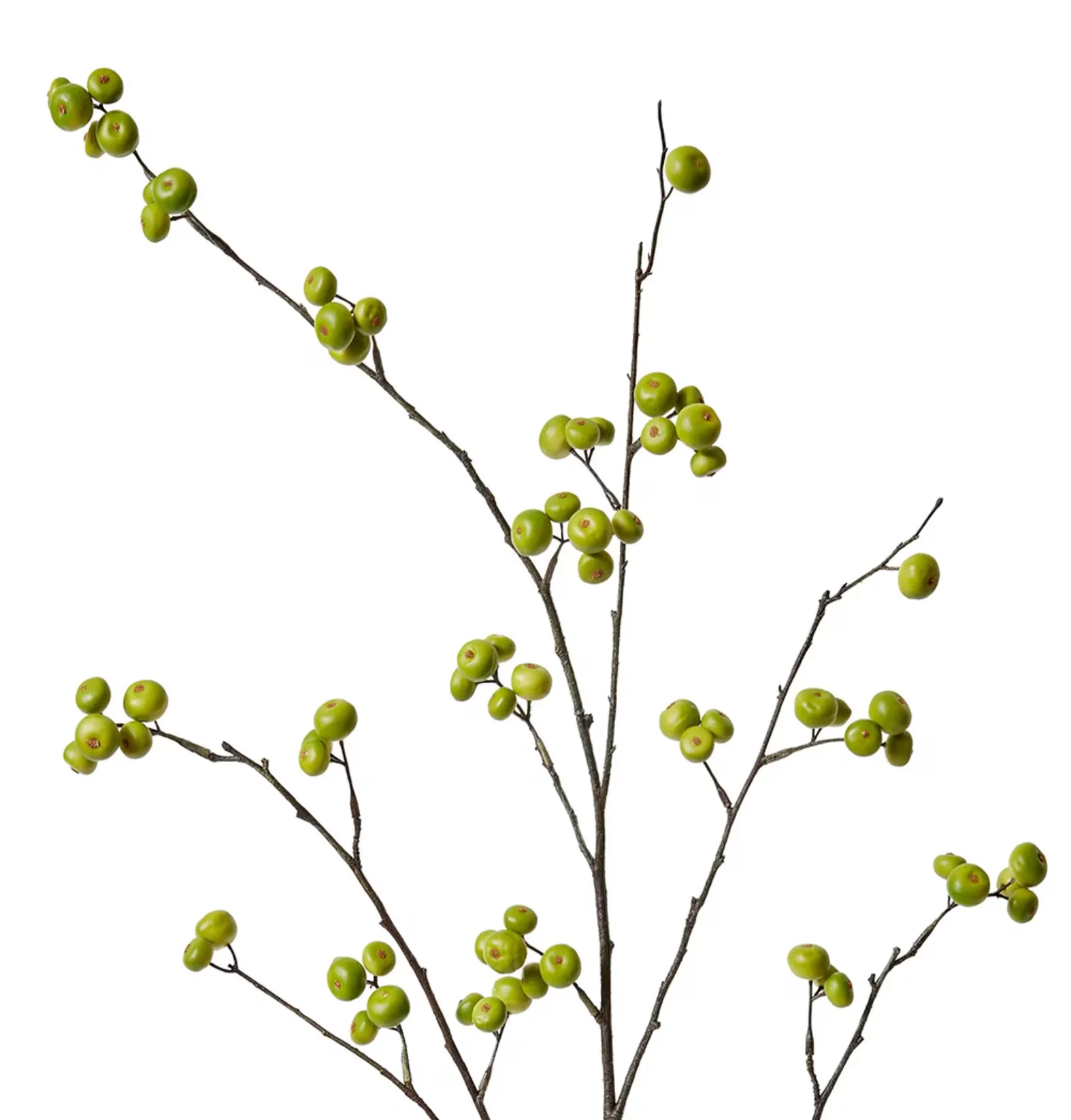 REAL TOUCH FAUX BERRY BRANCHES | GREEN - Image 2