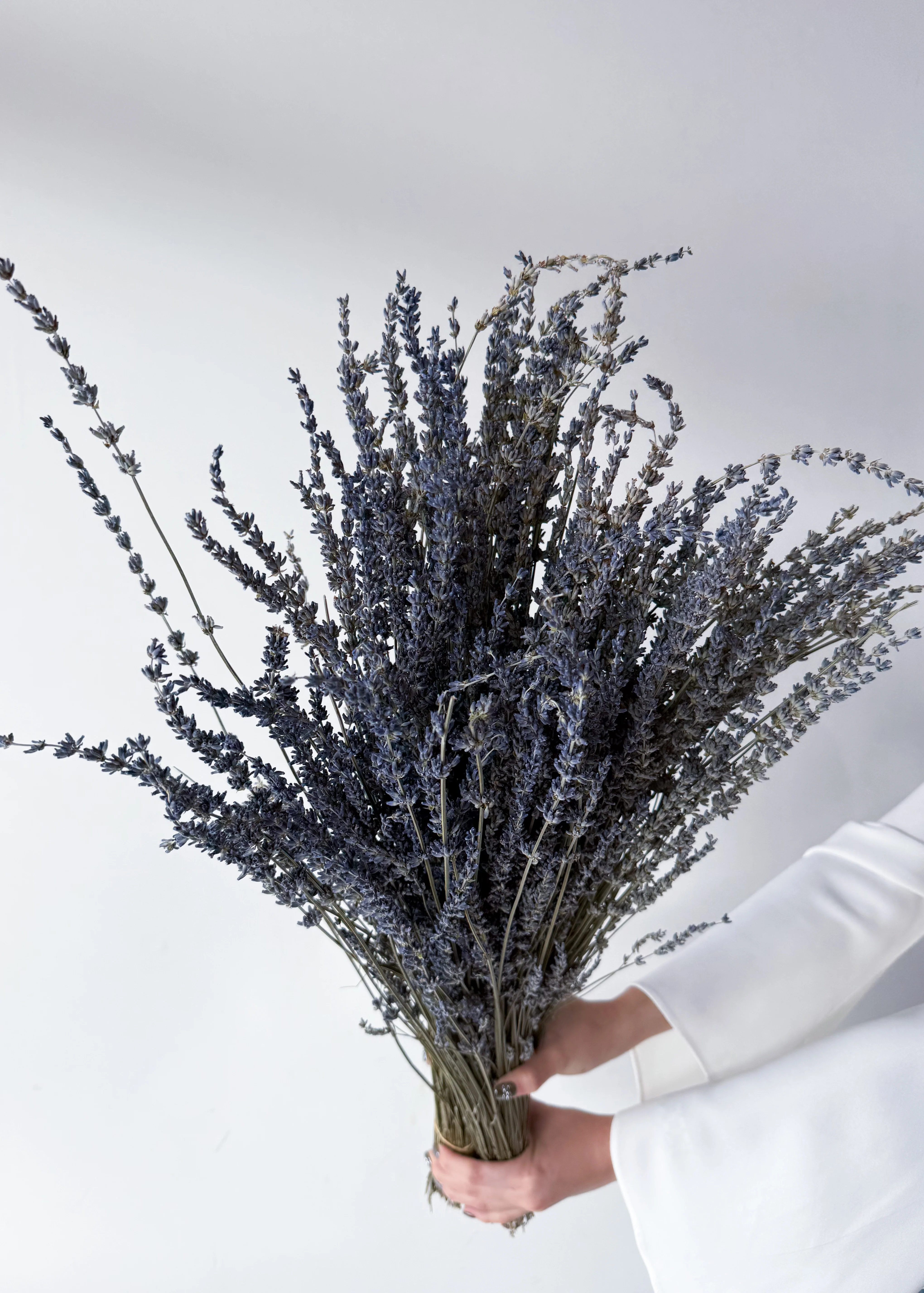 DRIED LAVENDER - Image 3