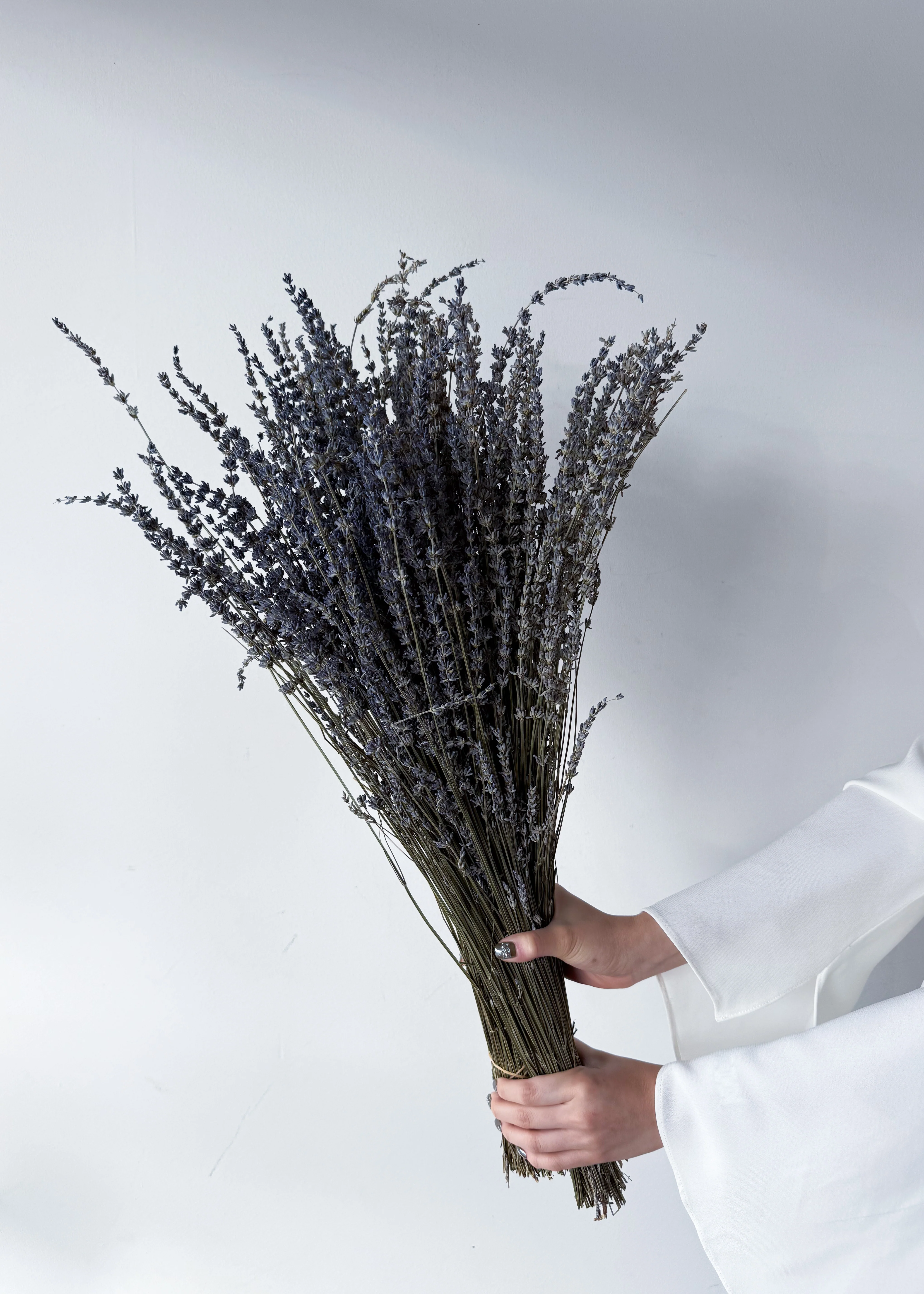DRIED LAVENDER - Image 4