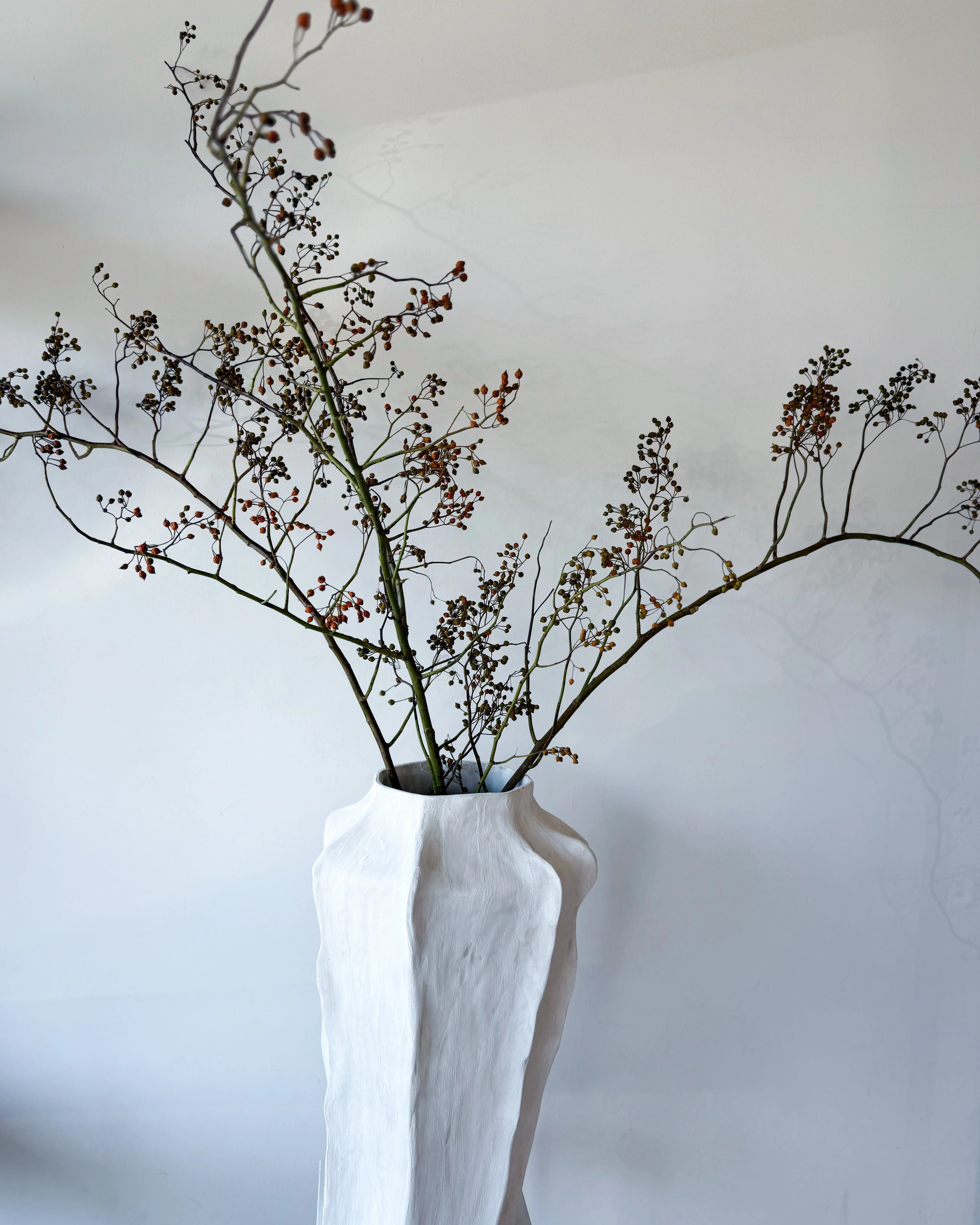 DRIED ROSEBERRY FOLIAGE
