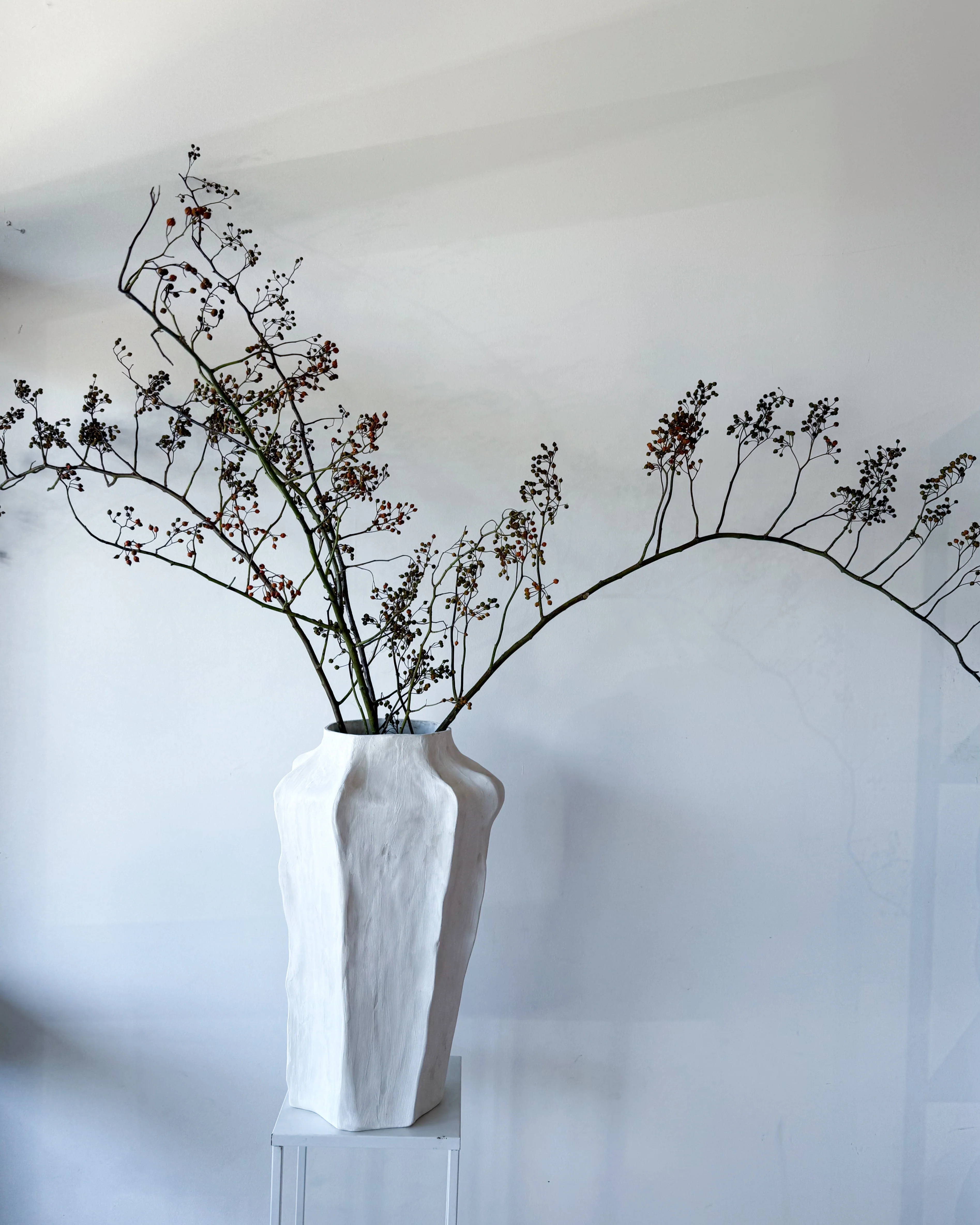 DRIED ROSEBERRY FOLIAGE - Image 2