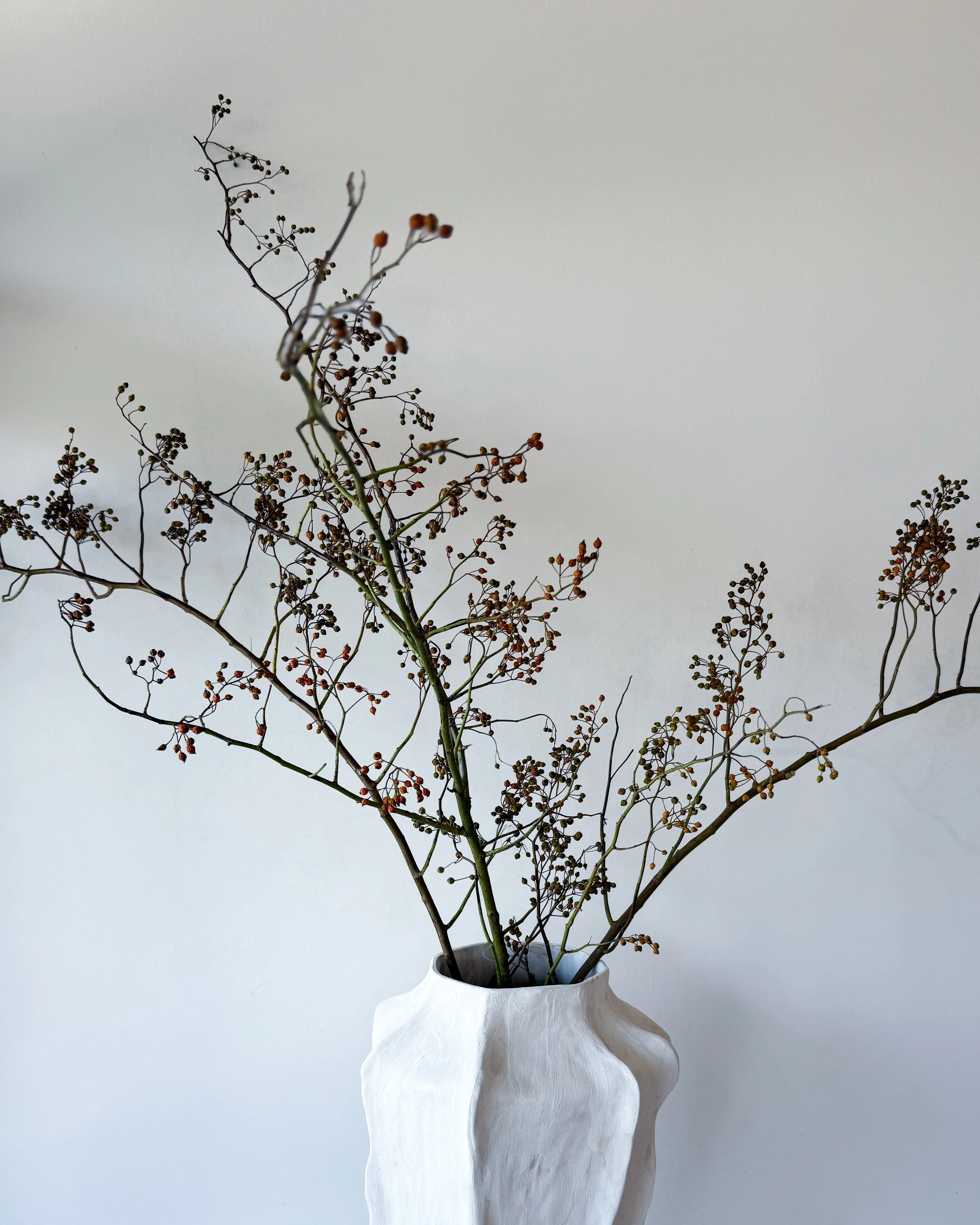 DRIED ROSEBERRY FOLIAGE - Image 3