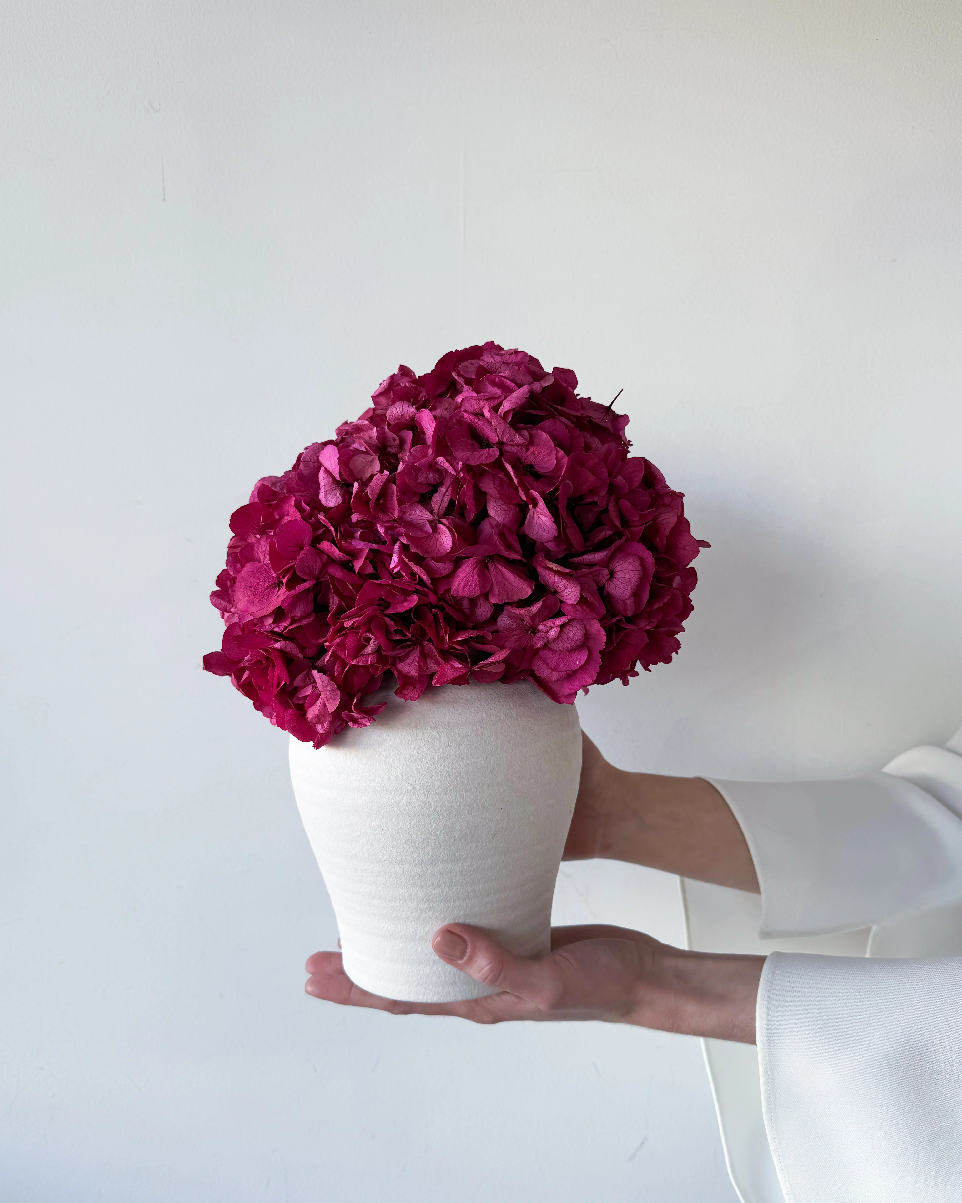 LUNA PRESERVED HYDRANGEA ARRANGEMENT IN WHITE HERAMA POT | FUCHSIA LARGE-LEAF