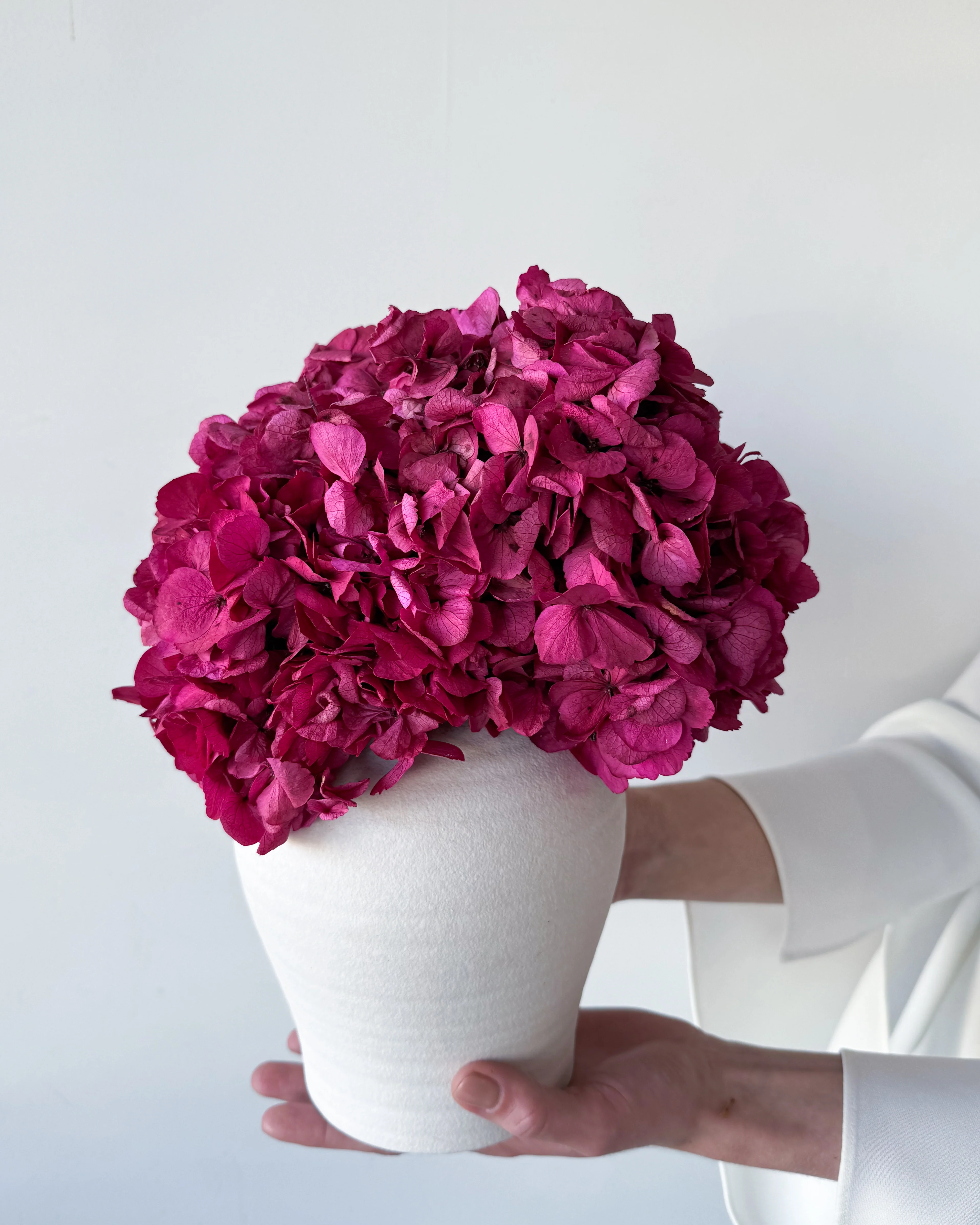 LUNA PRESERVED HYDRANGEA ARRANGEMENT IN WHITE HERAMA POT | FUCHSIA LARGE-LEAF - Image 2