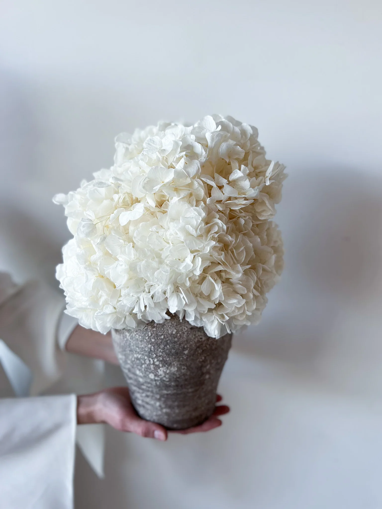 LUNA PRESERVED WHITE HYDRANGEA ARRANGEMENT IN HERAMA POT - Image 3