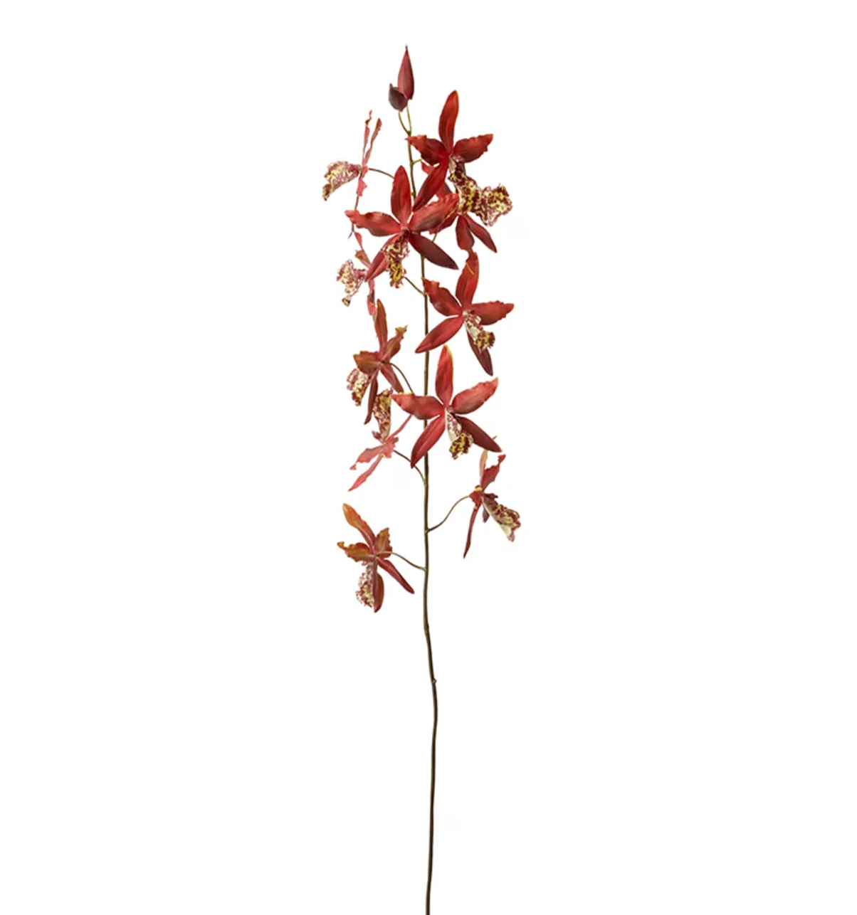 ORCHID ONCIDIUM STEM | RED | SOFT-TOUCH - Image 2
