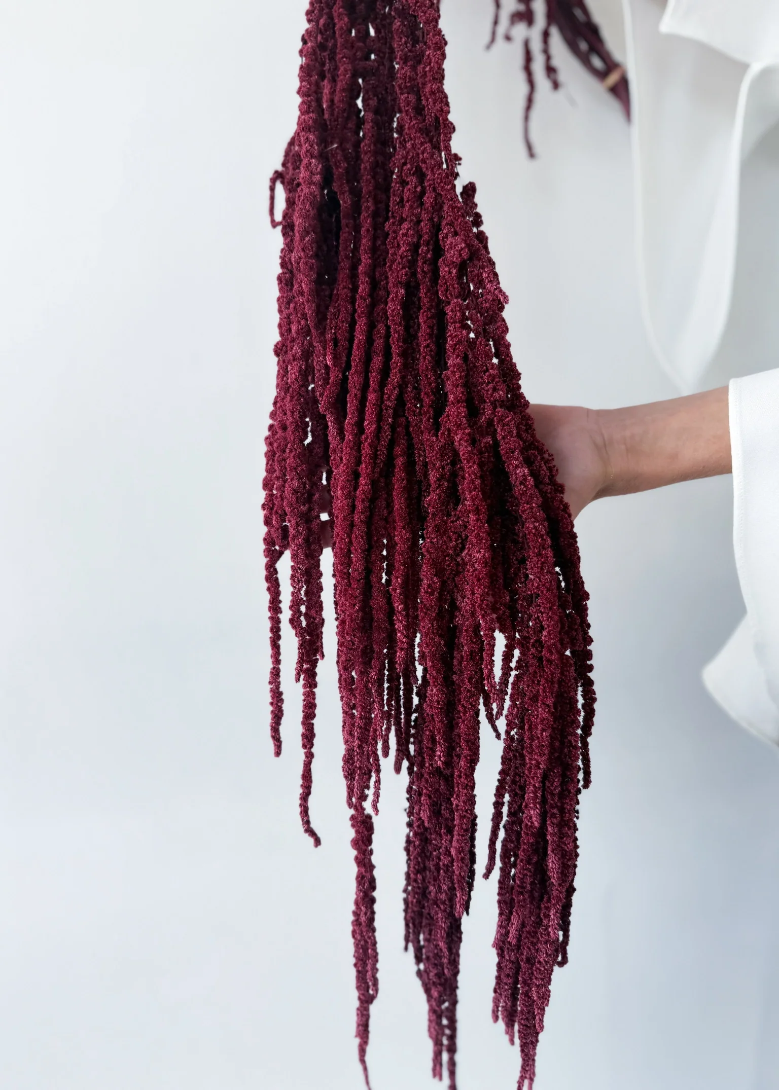PRESERVED AMARANTHUS | BURGUNDY - Image 2