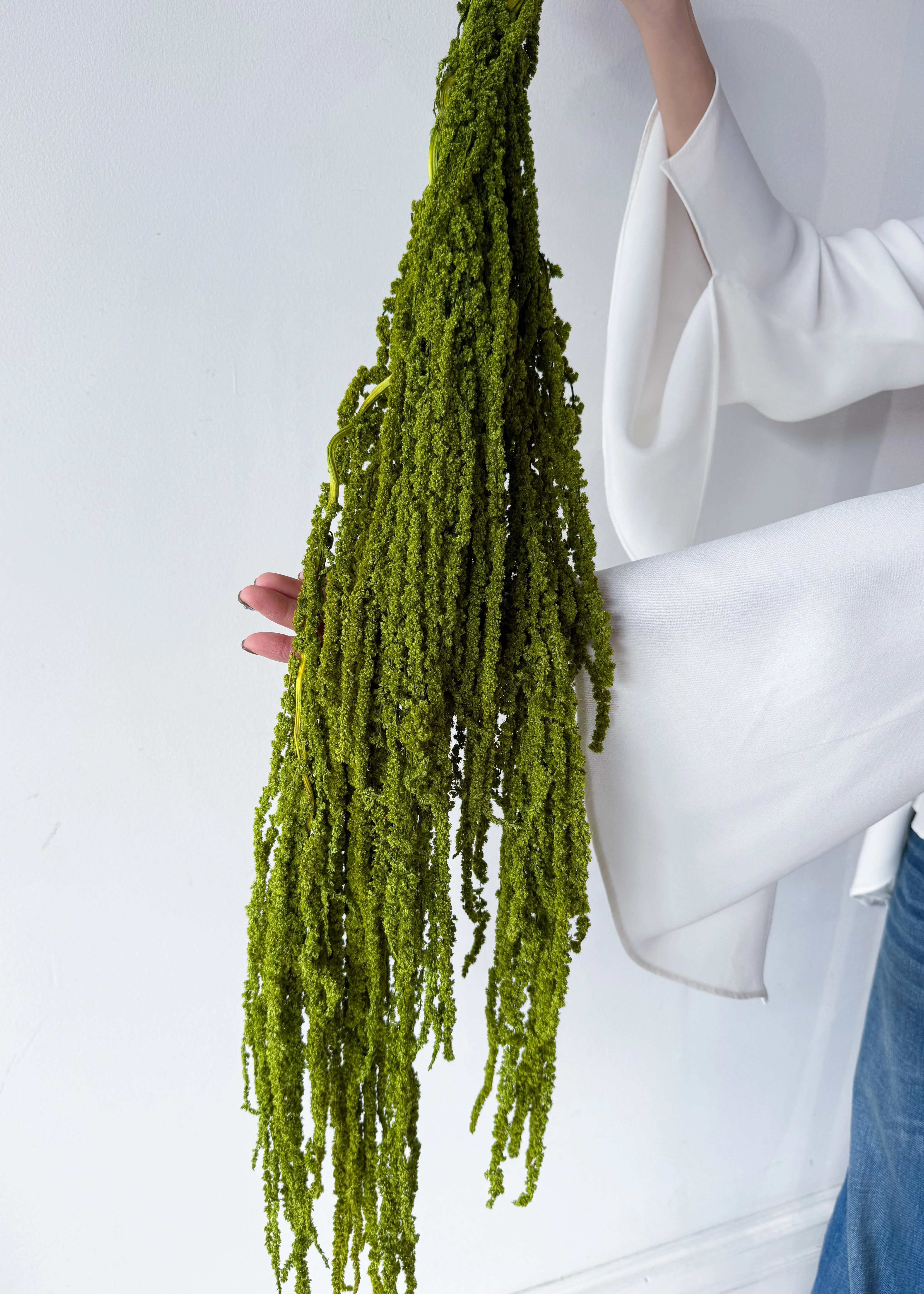 PRESERVED AMARANTHUS | OLIVE GREEN - Image 3