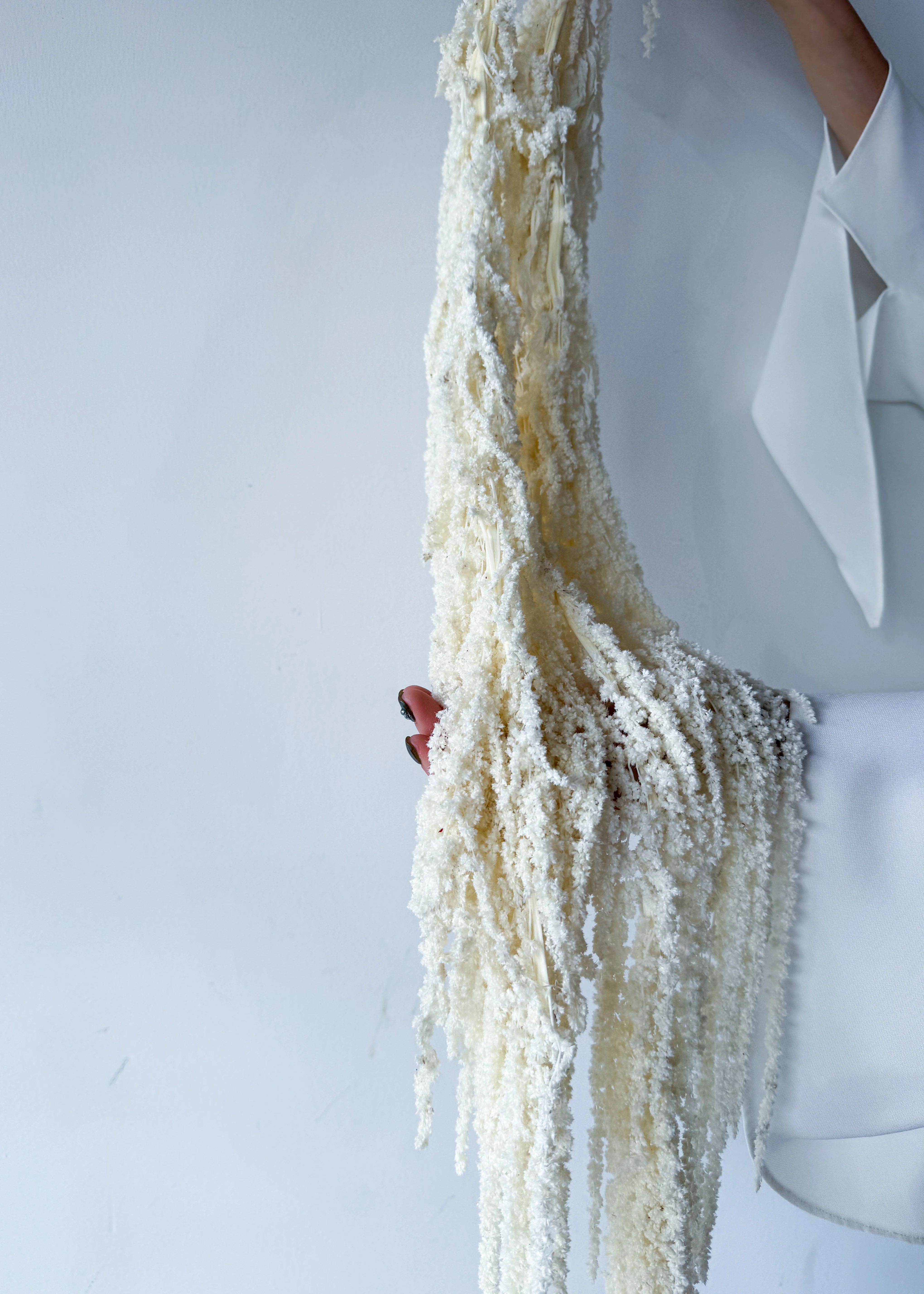 PRESERVED AMARANTHUS | IVORY WHITE - Image 4