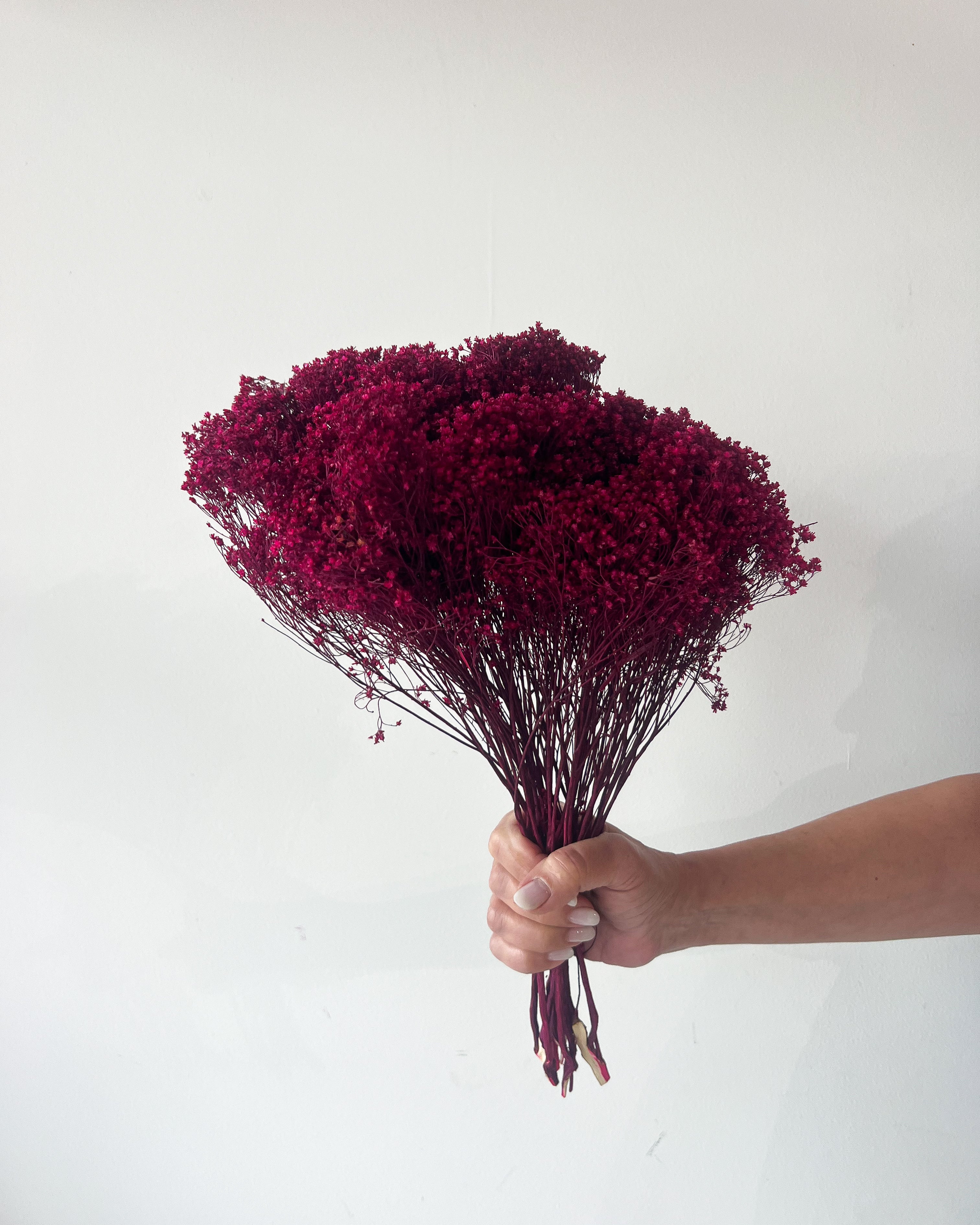PRESERVED BABY'S BREATH | DEEP FUCHSIA - Image 2