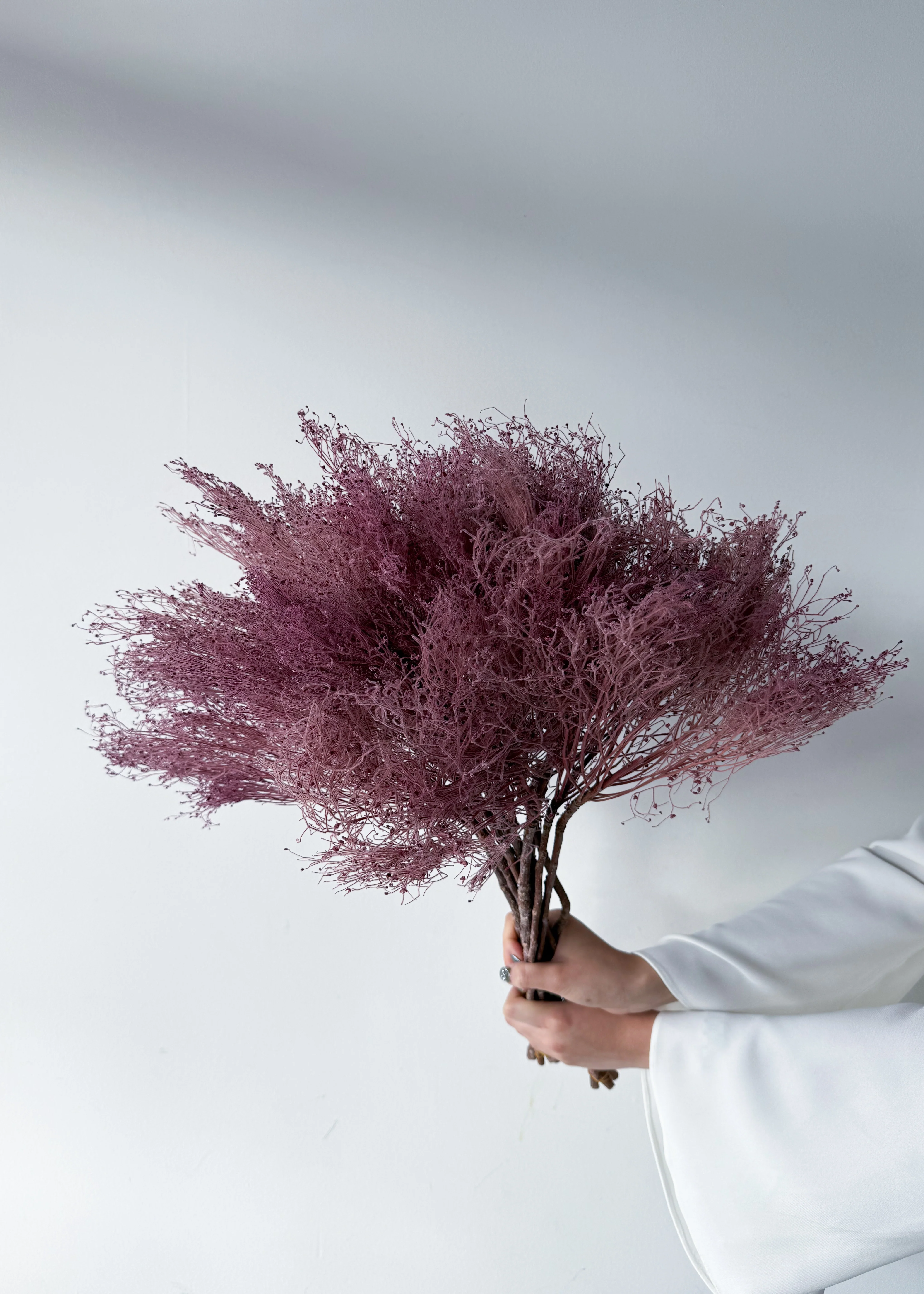 PRESERVED DREAM GRASS | LIGHT MARONE - Image 3