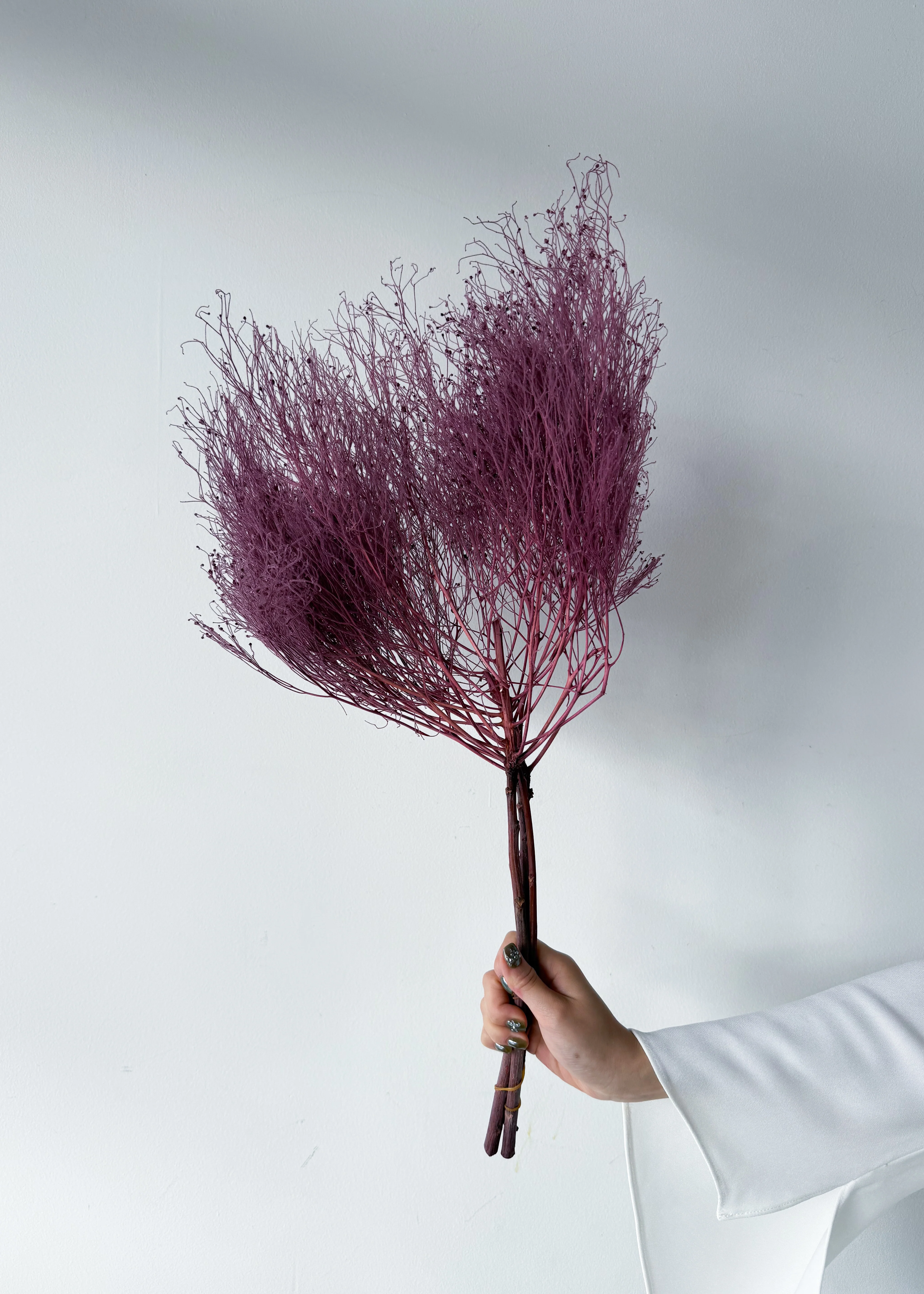 PRESERVED DREAM GRASS | DEEP MARONE