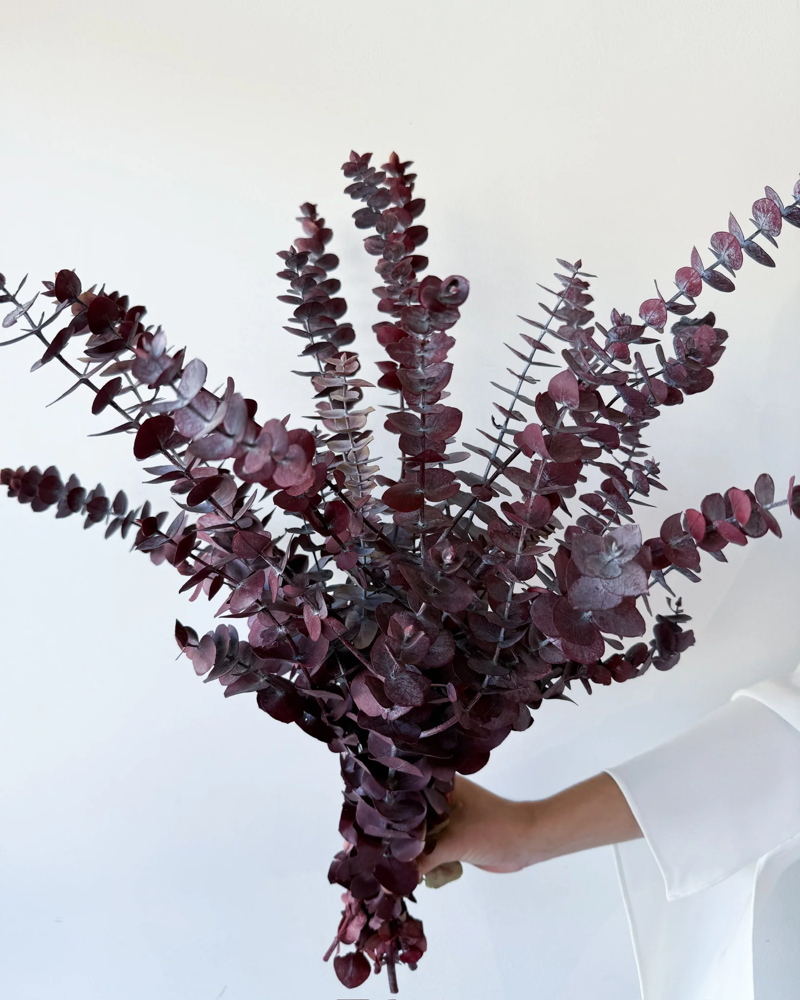 PRESERVED GUM | BURGUNDY - Image 4