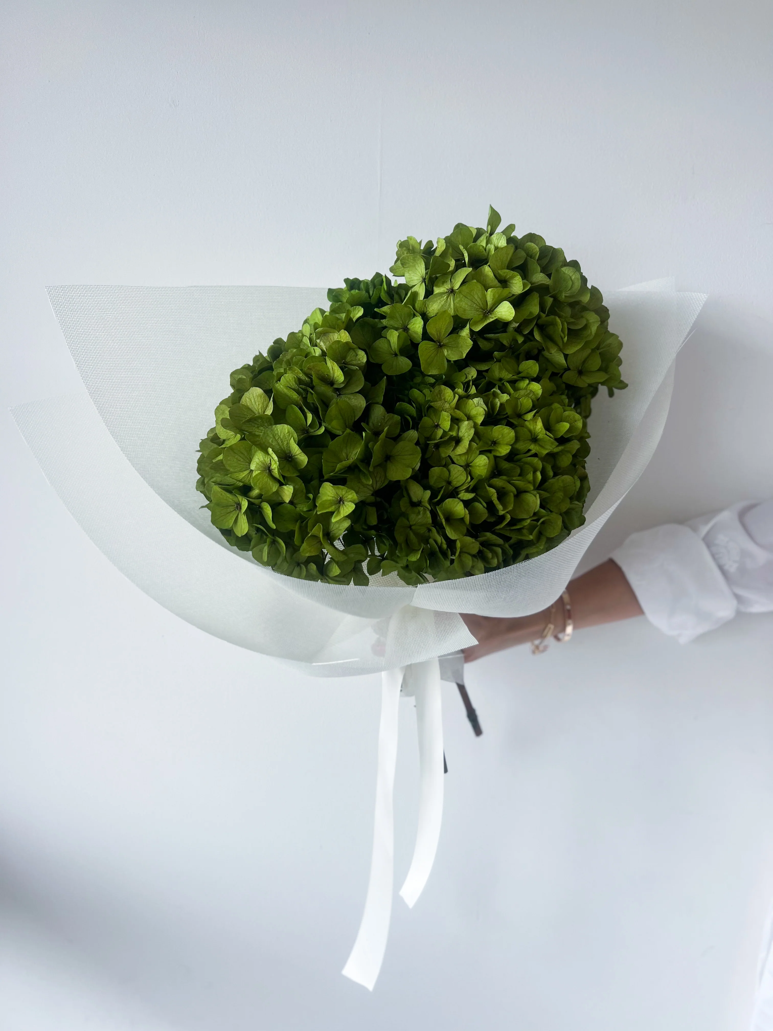 PRESERVED HYDRANGEA STEM | LIME GREEN | LARGE-LEAF