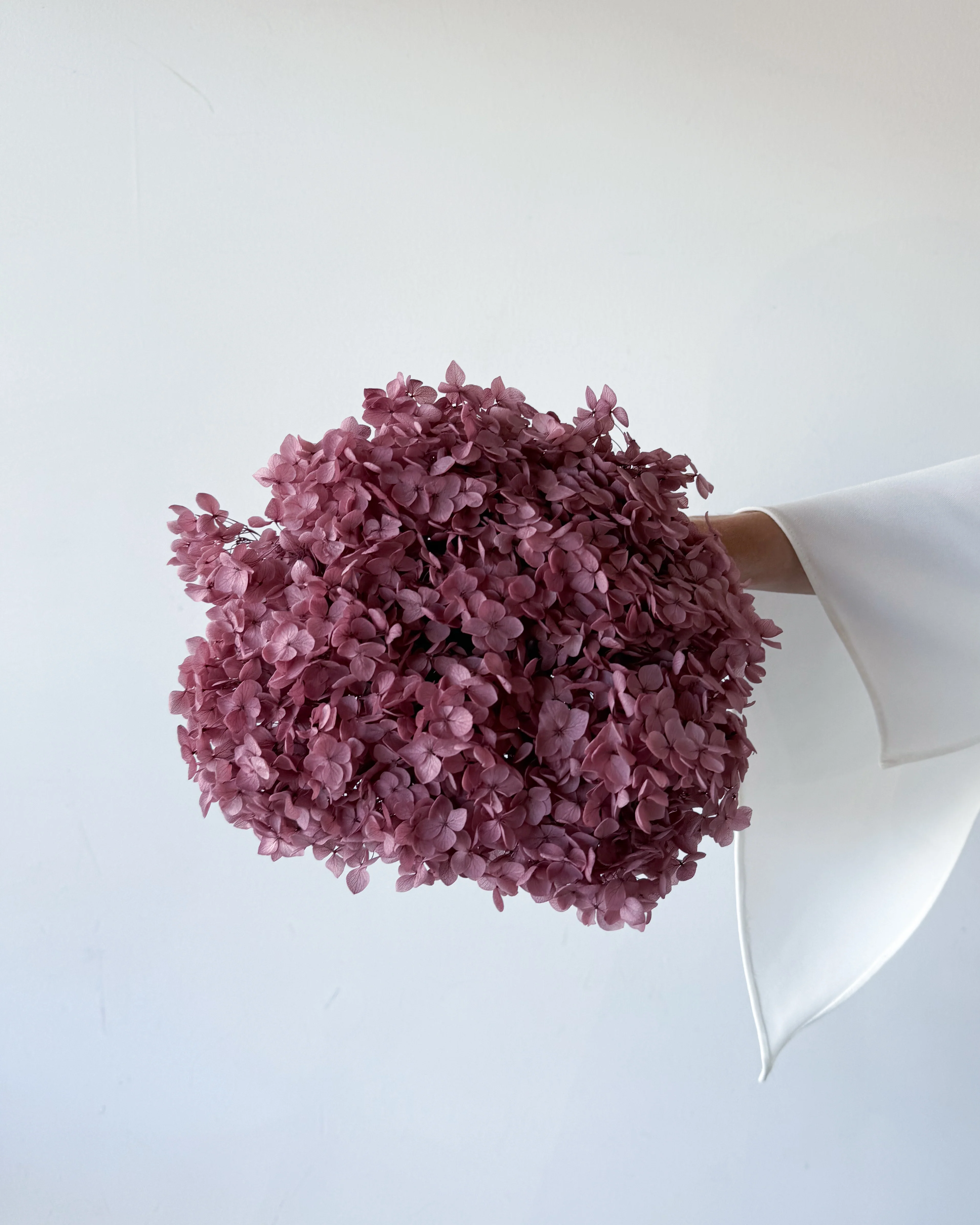PRESERVED HYDRANGEA STEM I DEEP BLUSH | SMALL-LEAF