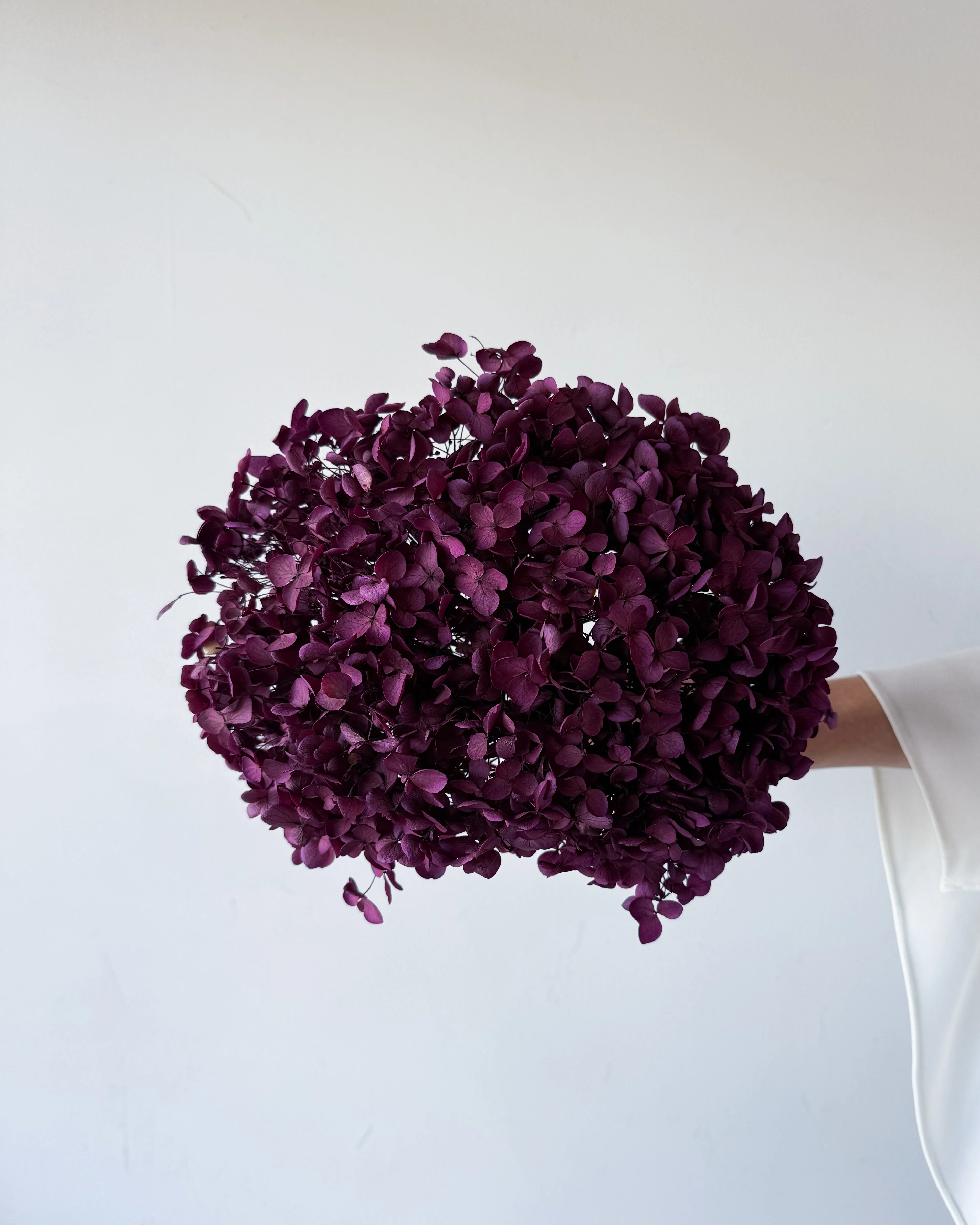 PRESERVED HYDRANGEA STEM I BURGUNDY I SMALL-LEAF