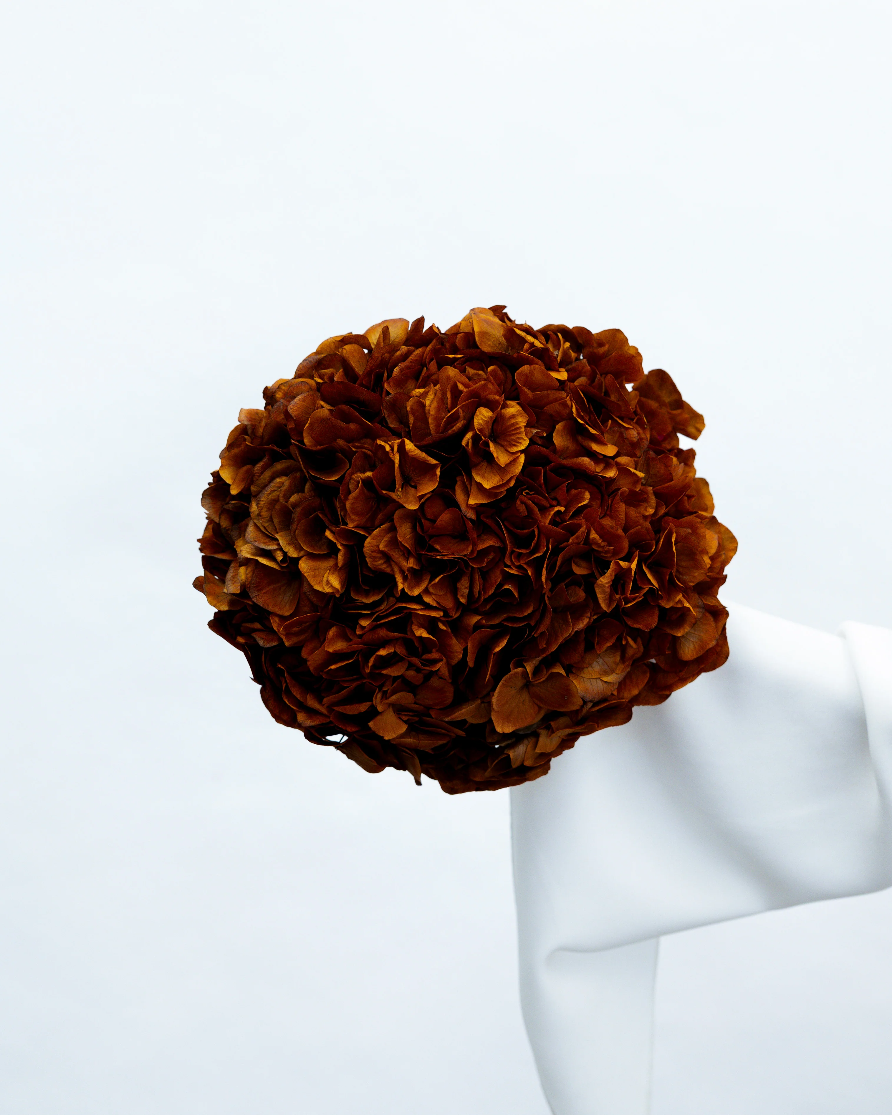 PRESERVED HYDRANGEA STEM I BURNT ORANGE I LARGE-LEAF