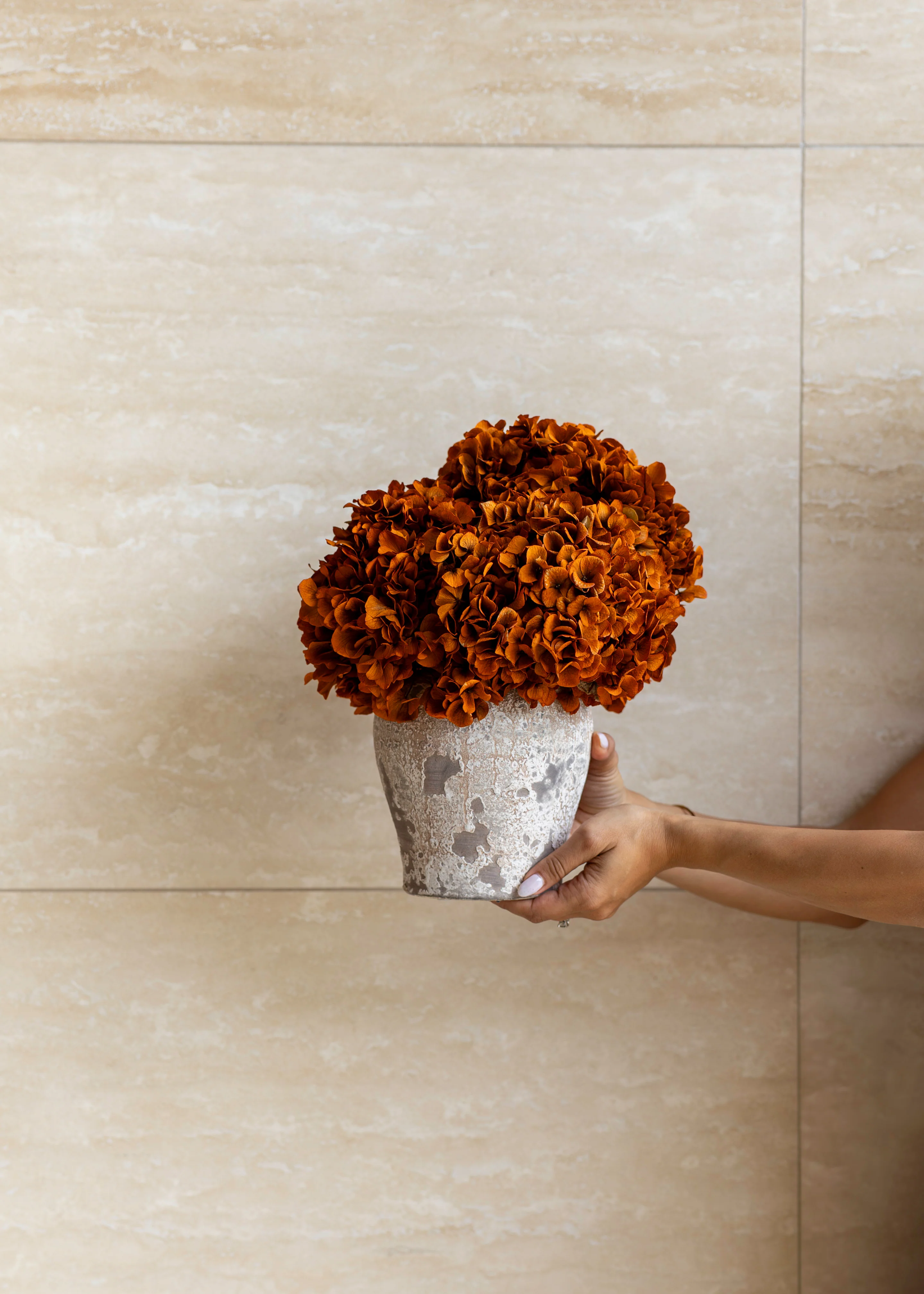 PRESERVED HYDRANGEA STEM I BURNT ORANGE I LARGE-LEAF - Image 3
