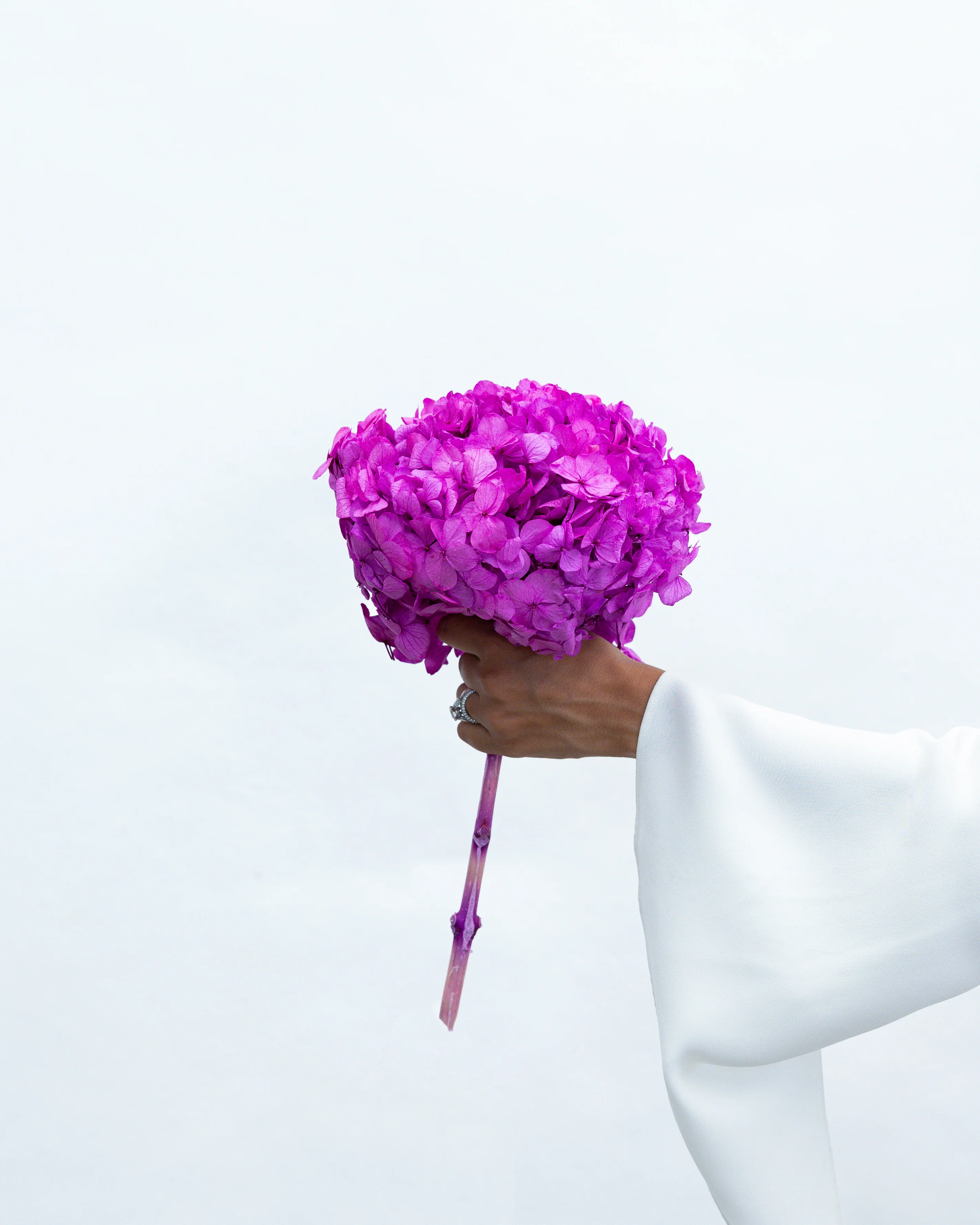 PRESERVED HYDRANGEA STEM I FUCHSIA I LARGE-LEAF - Image 2