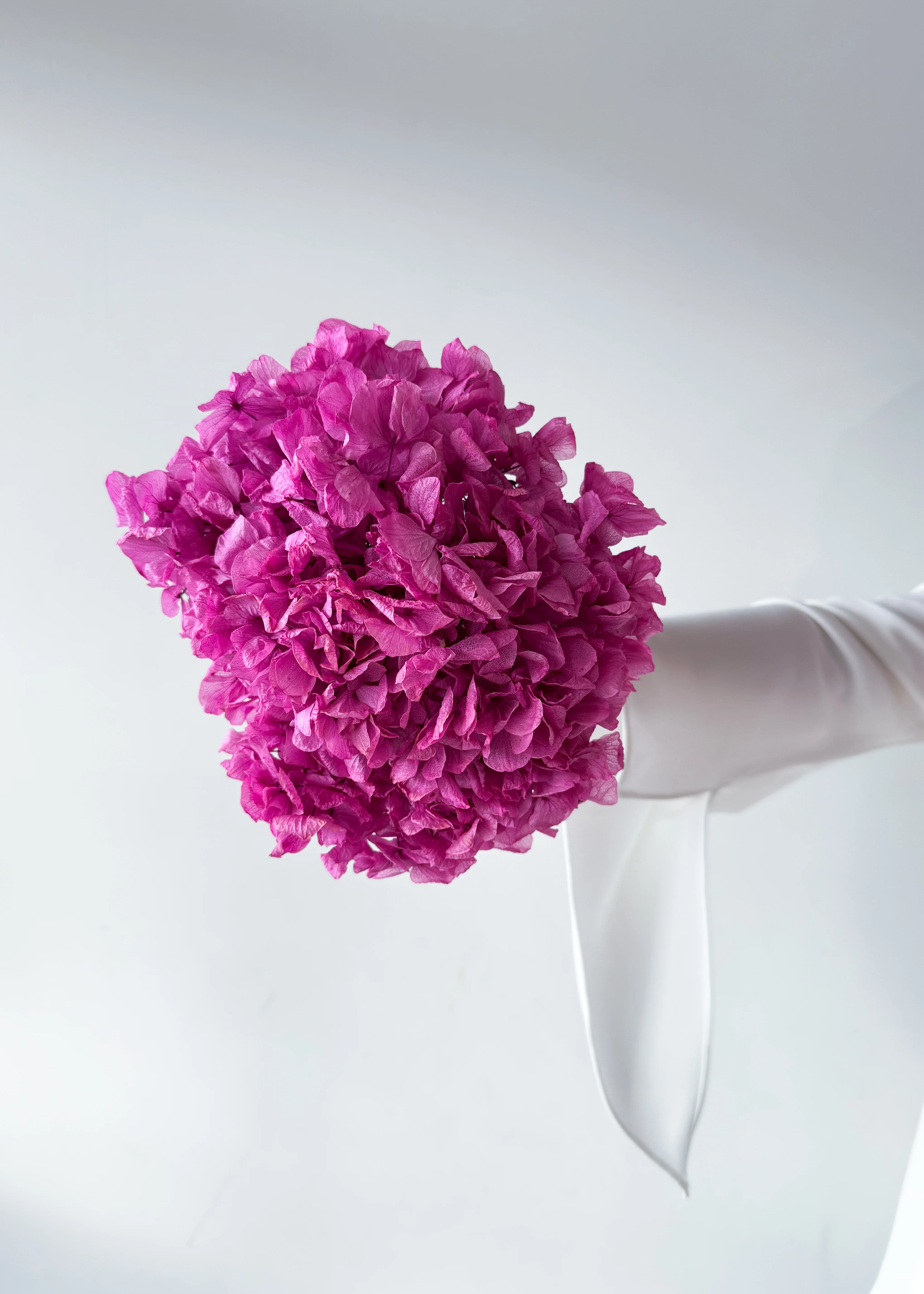 PRESERVED HYDRANGEA STEM I FUCHSIA I LARGE-LEAF - Image 4