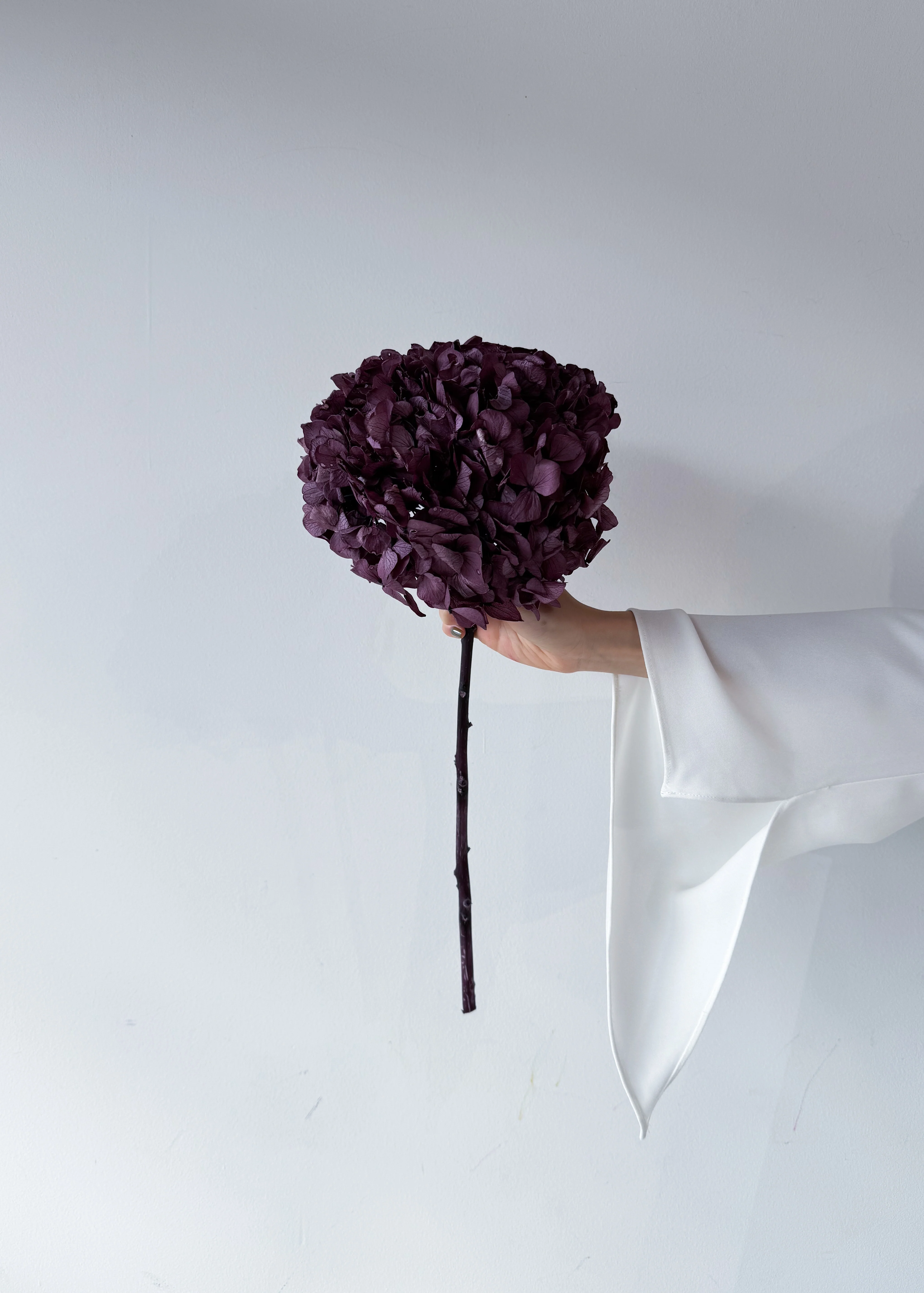 PRESERVED HYDRANGEA STEM I GRAPE I LARGE-LEAF - Image 3