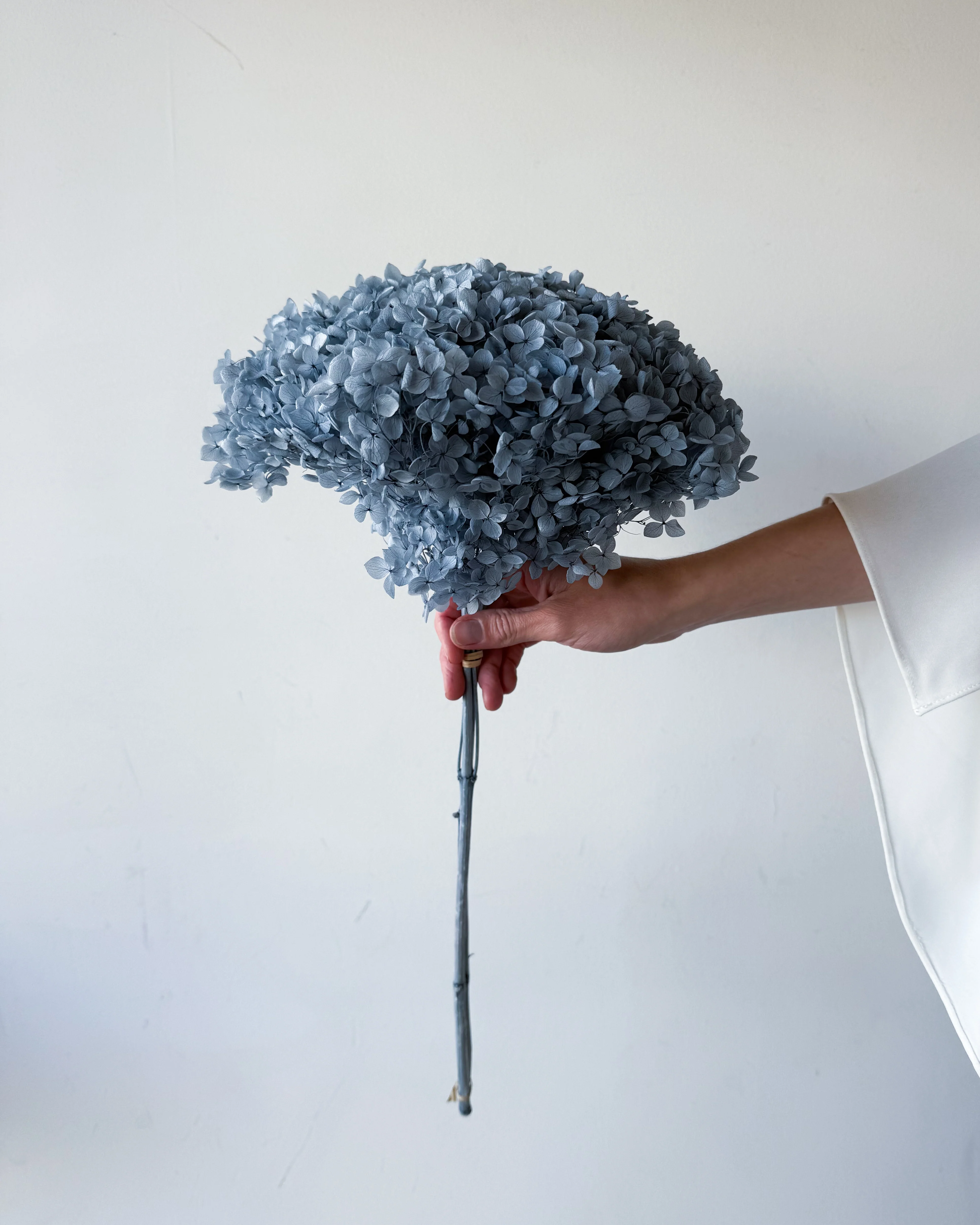 PRESERVED HYDRANGEA STEM I GREY-BLUE I SMALL-LEAF - Image 2