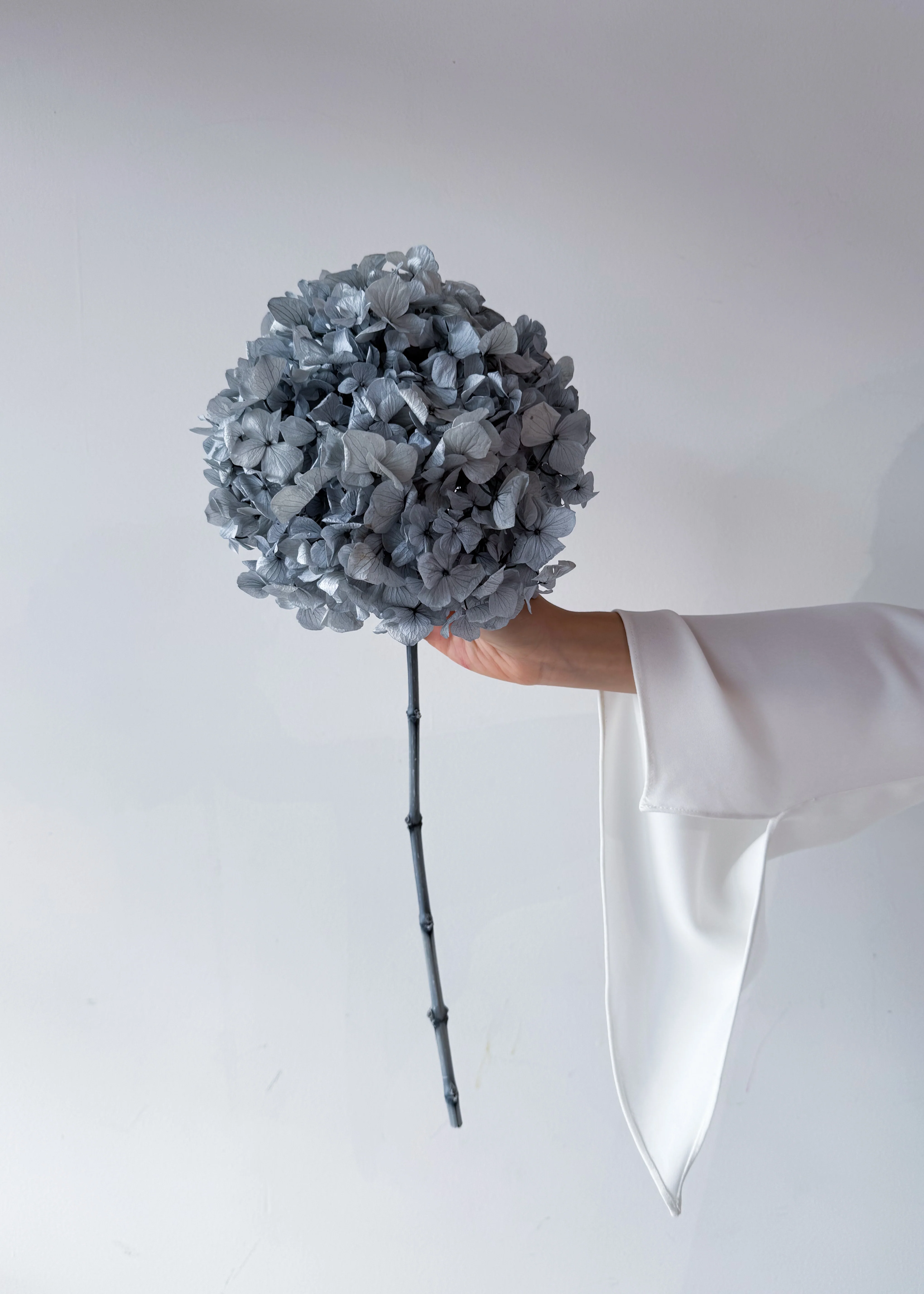 PRESERVED HYDRANGEA STEM I GREY I LARGE-LEAF - Image 3
