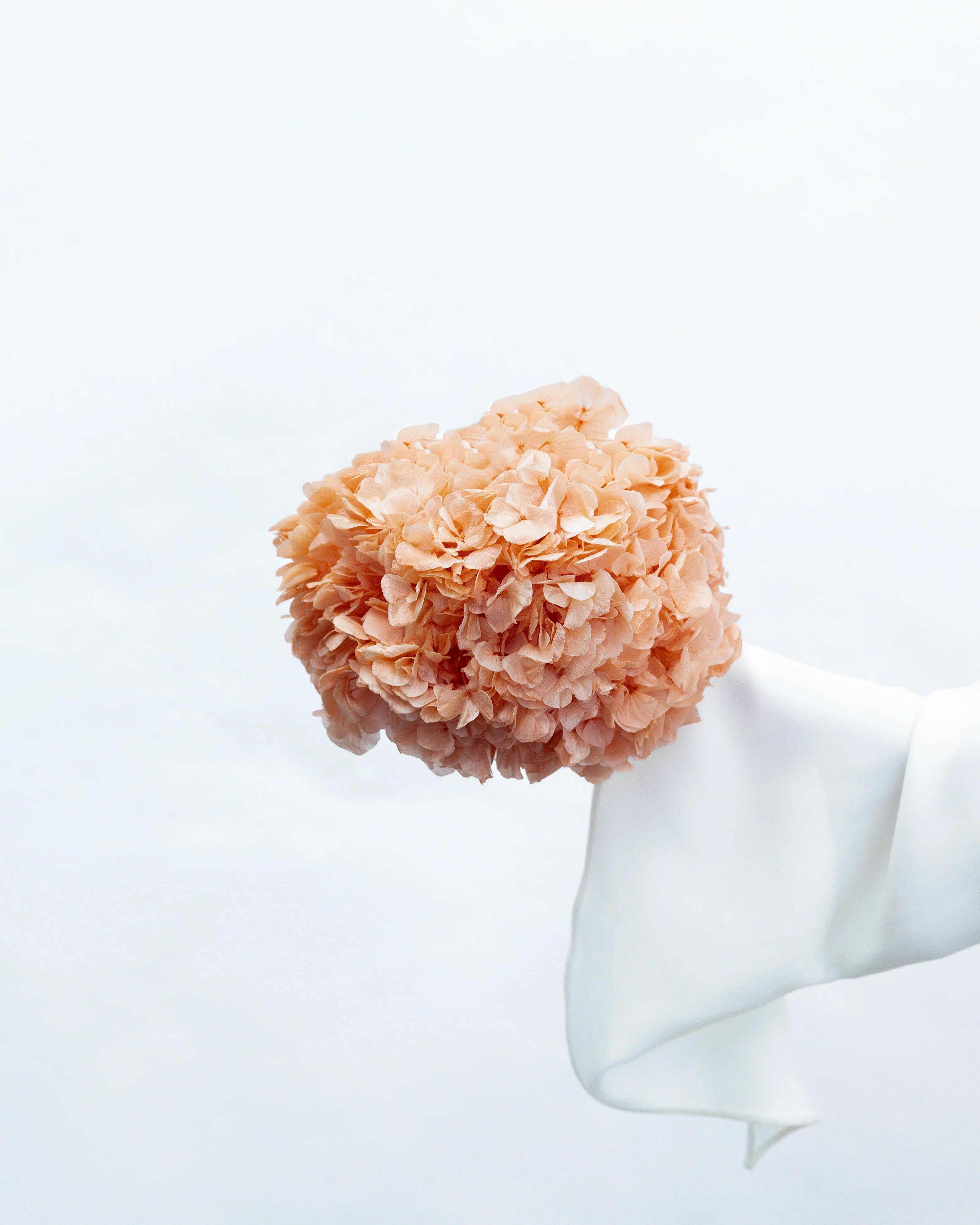 PRESERVED HYDRANGEA STEM I BLUSH I LARGE-LEAF