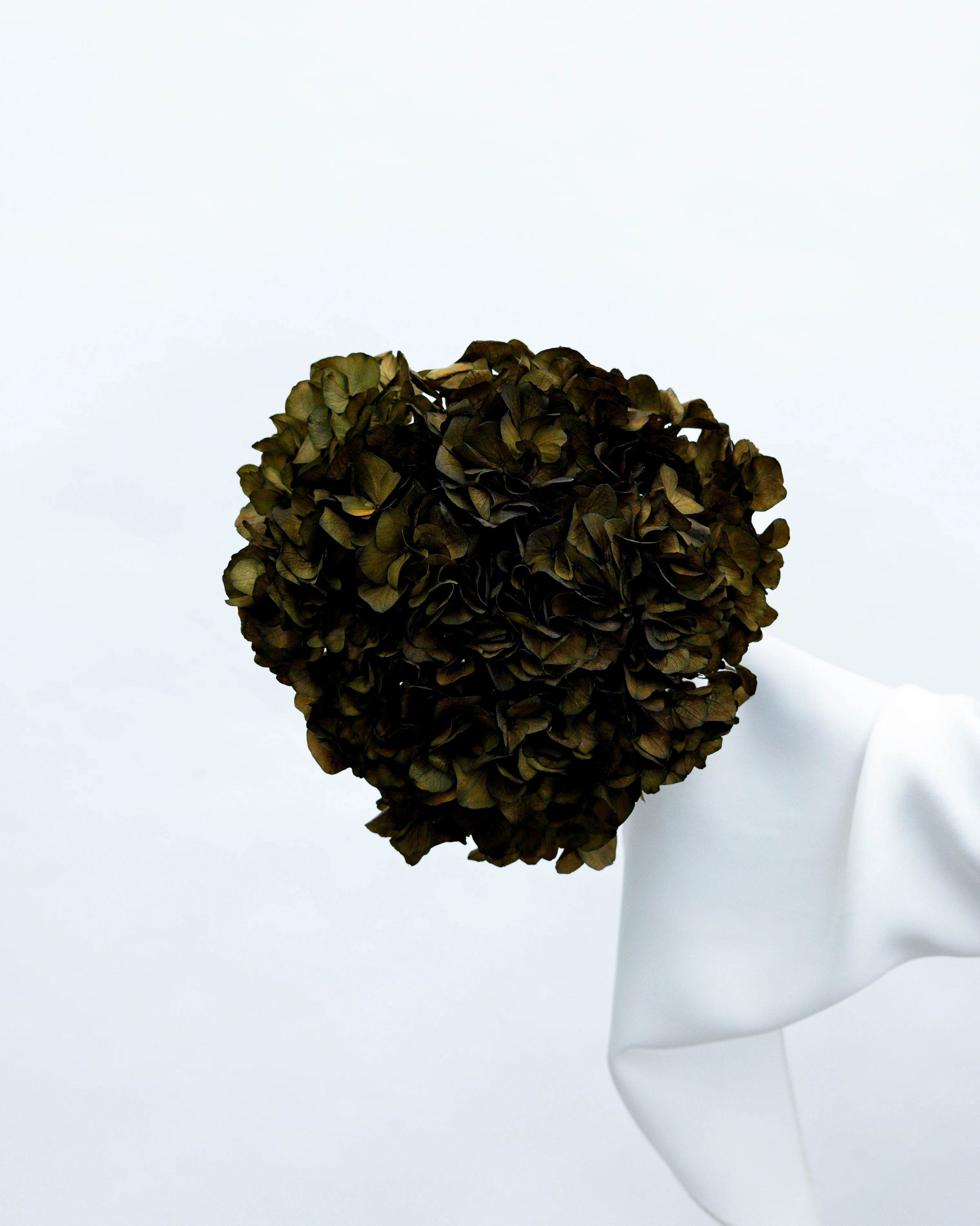 PRESERVED HYDRANGEA STEM I OLIVE GREEN I LARGE-LEAF