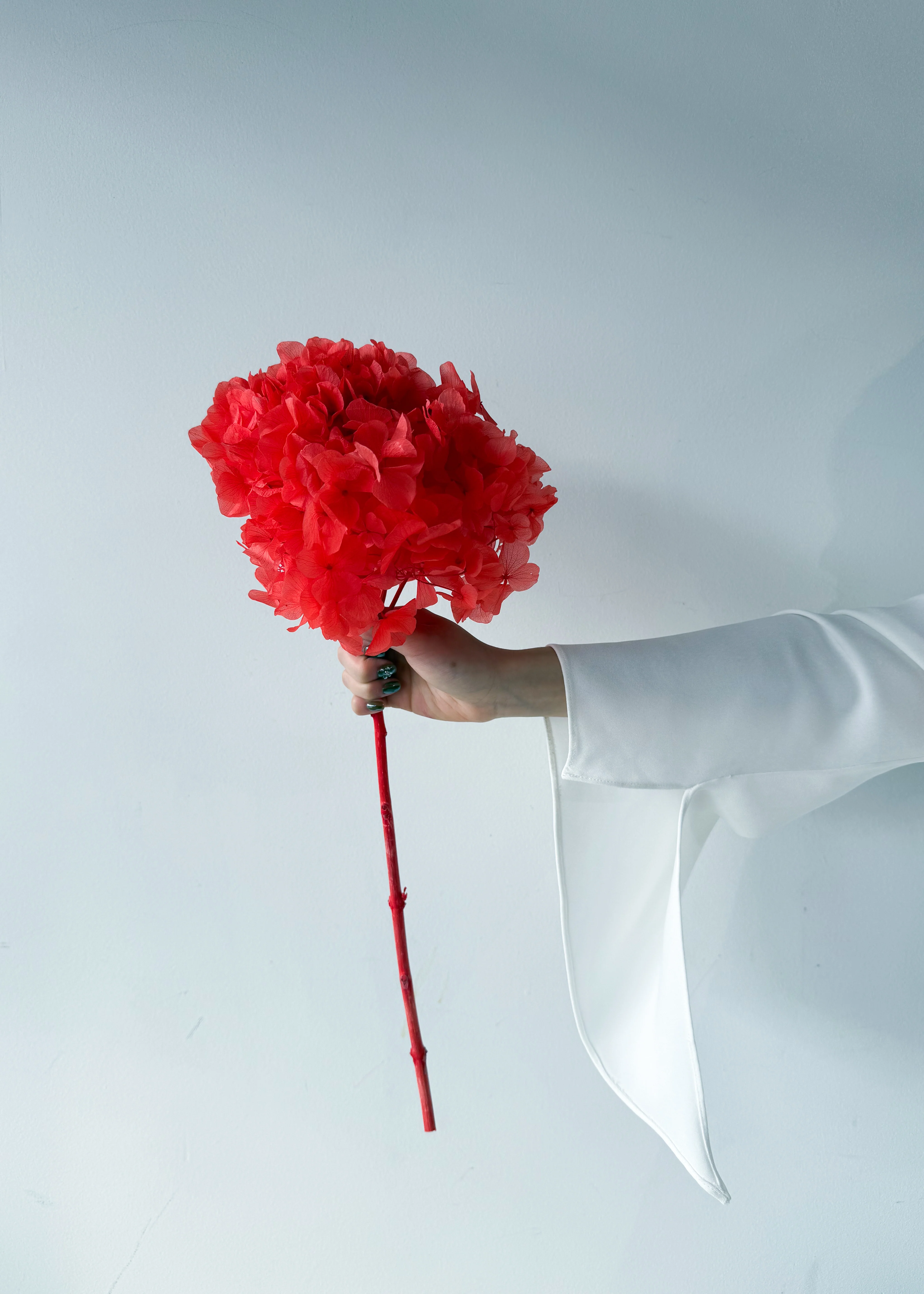 PRESERVED HYDRANGEA STEM I ROSE-RED I LARGE-LEAF - Image 5