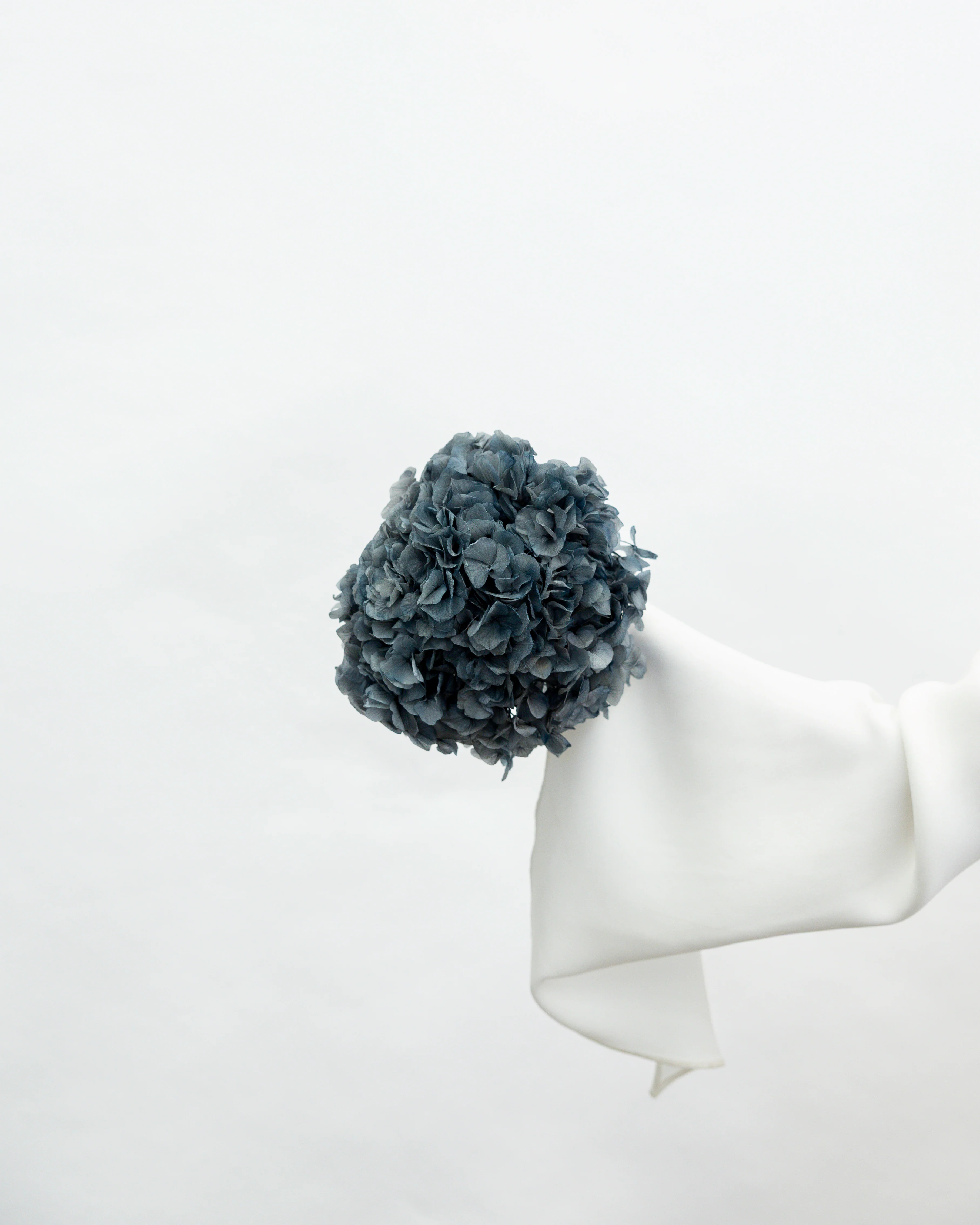PRESERVED HYDRANGEA STEM I DEEP GREY-BLUE I LARGE-LEAF - Image 2