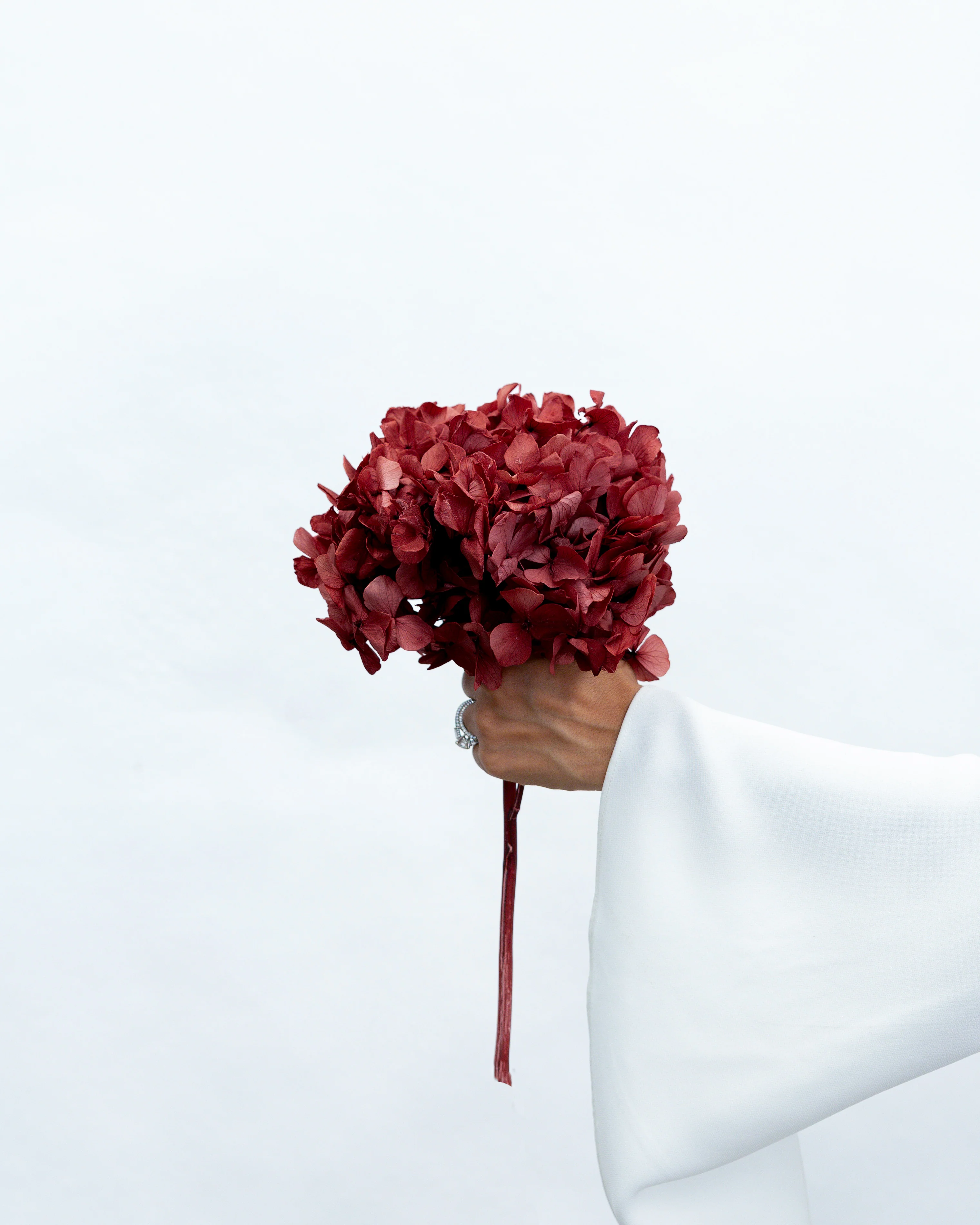 PRESERVED HYDRANGEA STEM I WINE RED I LARGE-LEAF - Image 2