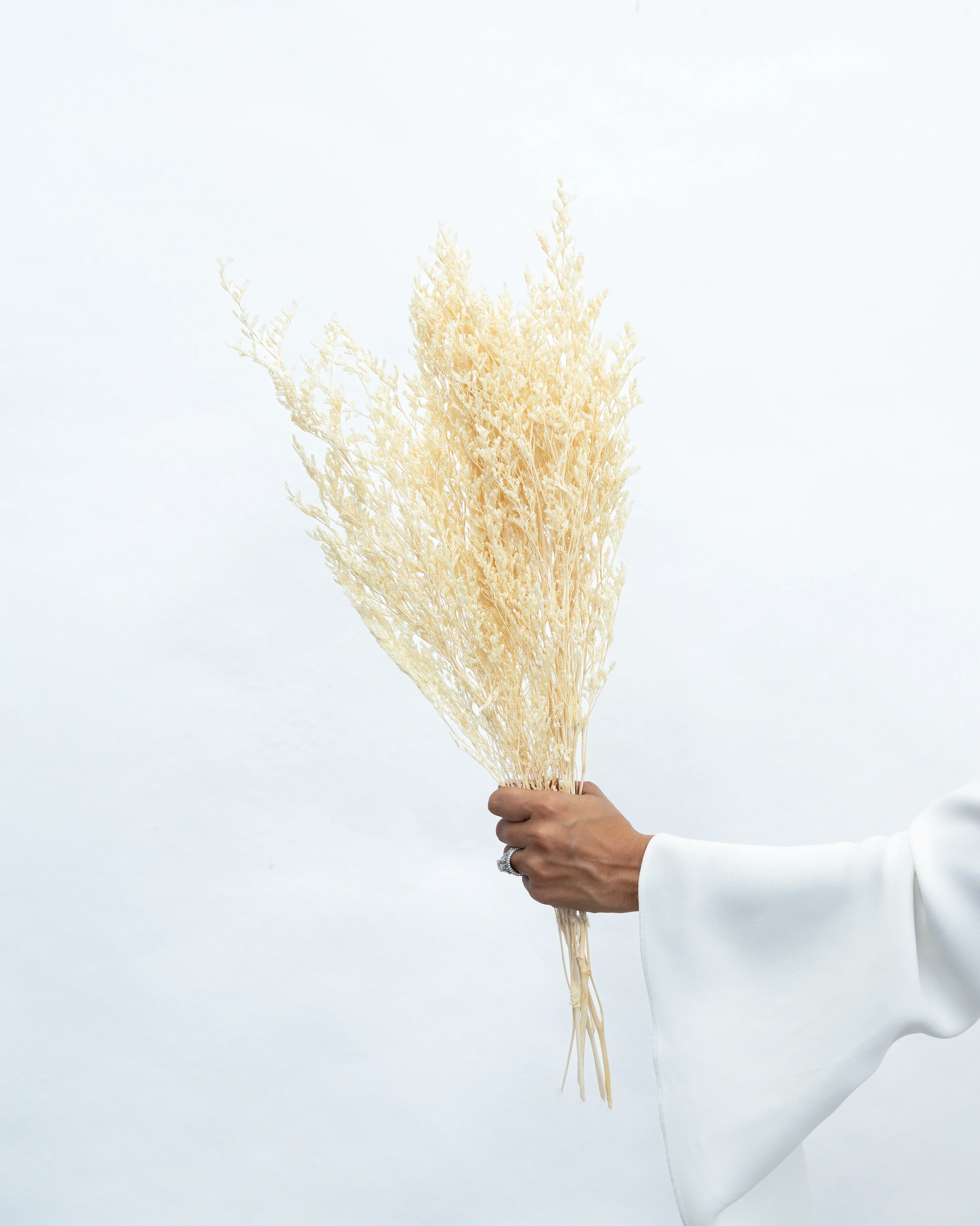 PRESERVED MISTY | IVORY