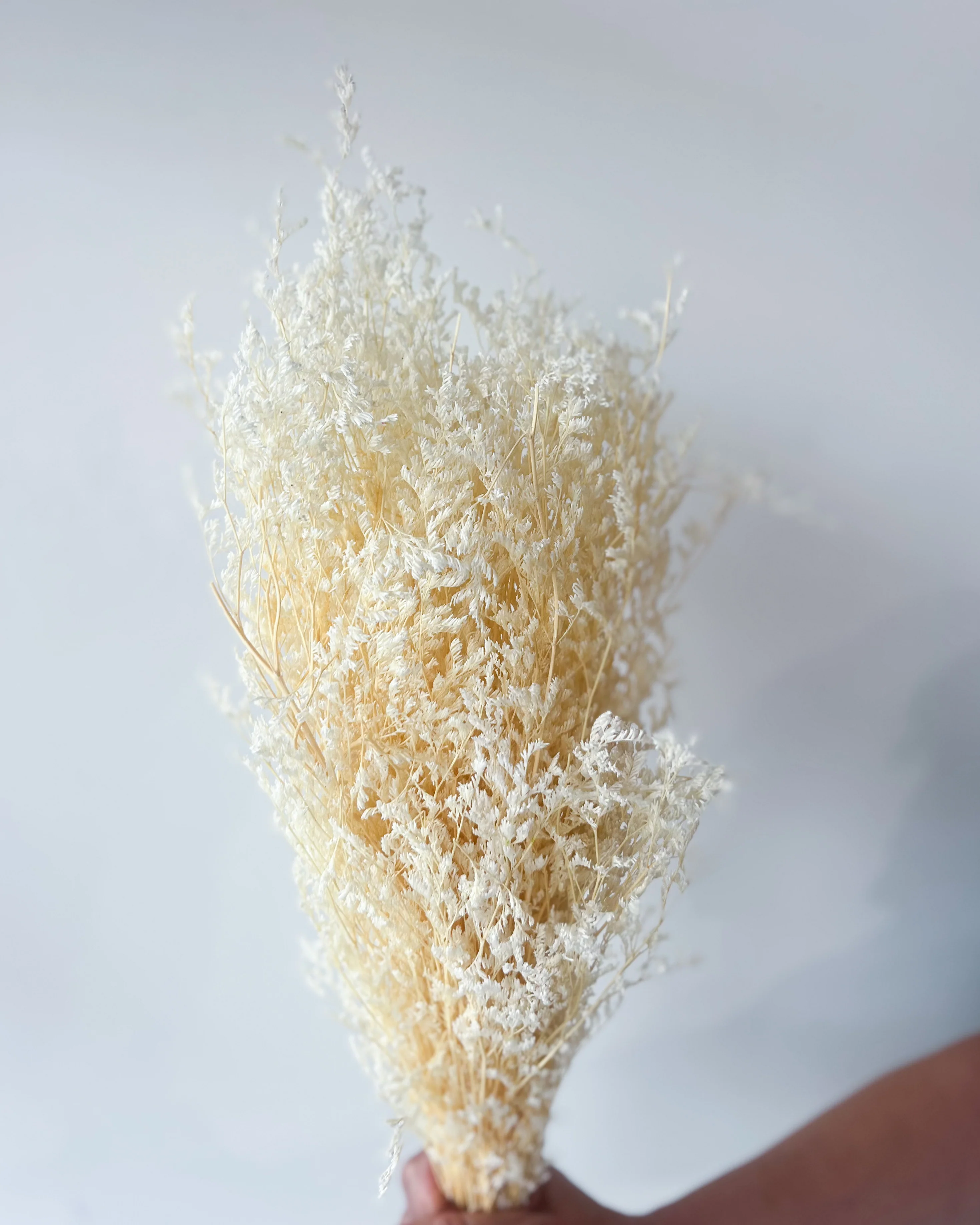 PRESERVED MISTY | IVORY - Image 2
