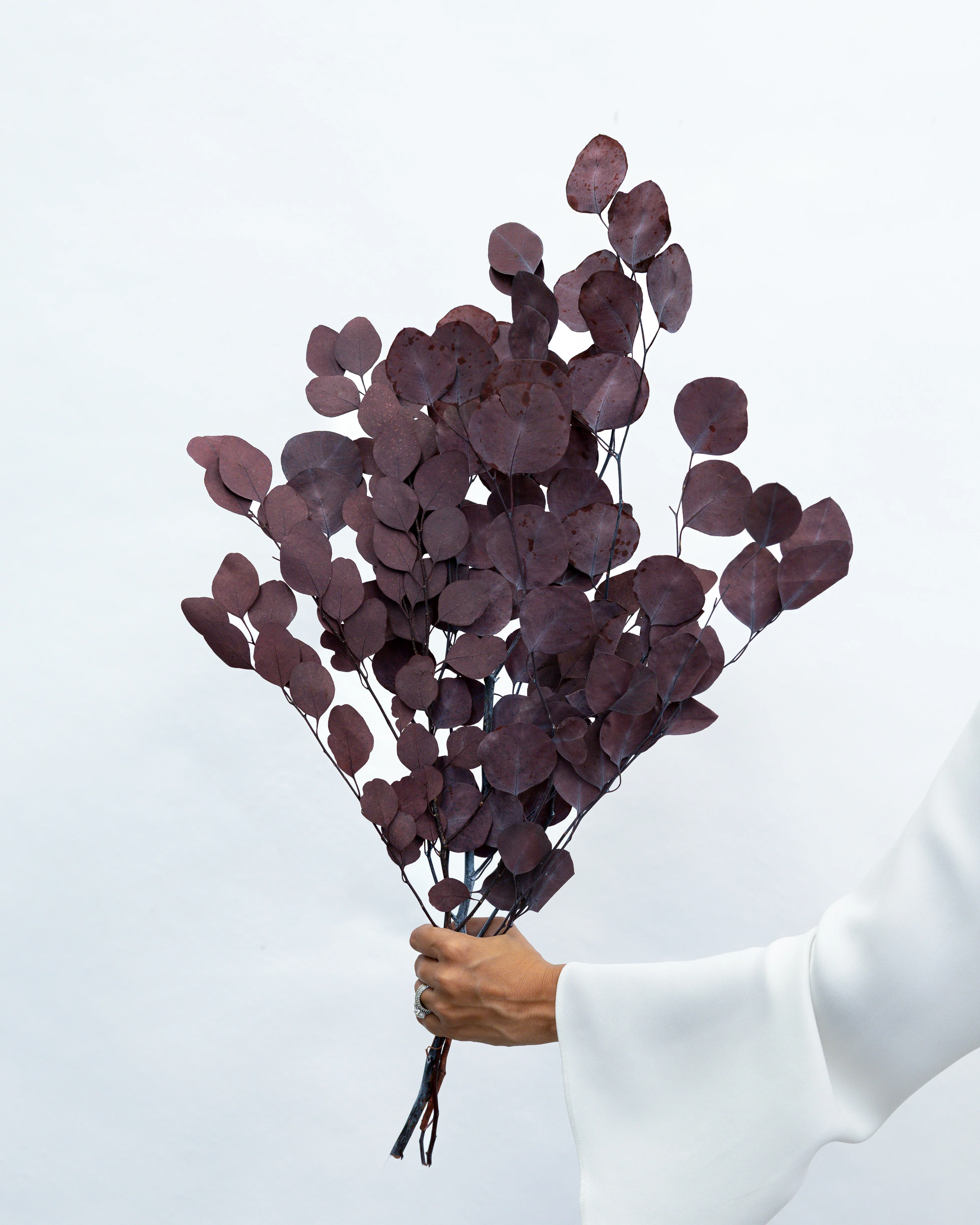 PRESERVED POLYGUM FOLIAGE | BURGUNDY