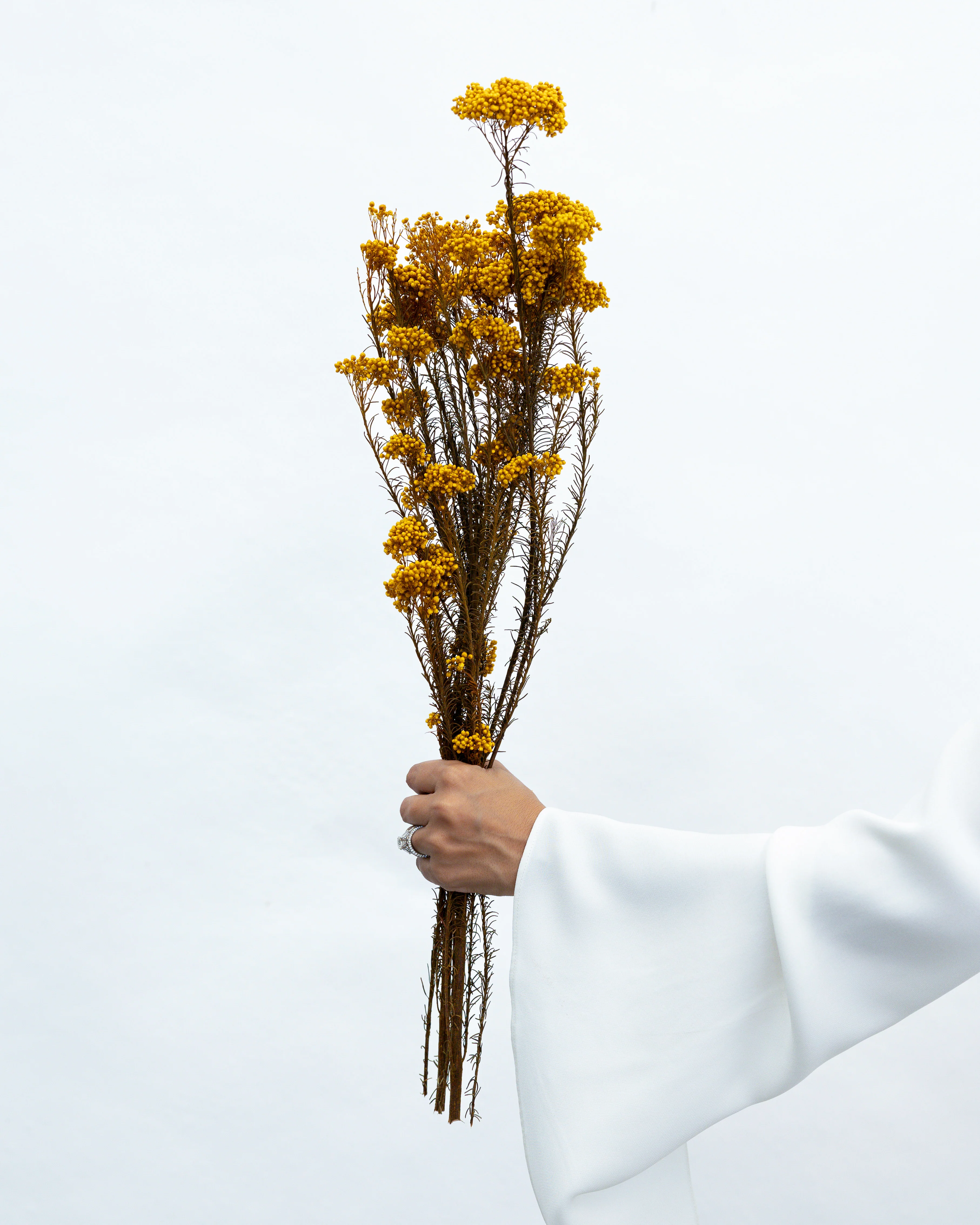 PRESERVED RICE FLOWER | AUTUMN