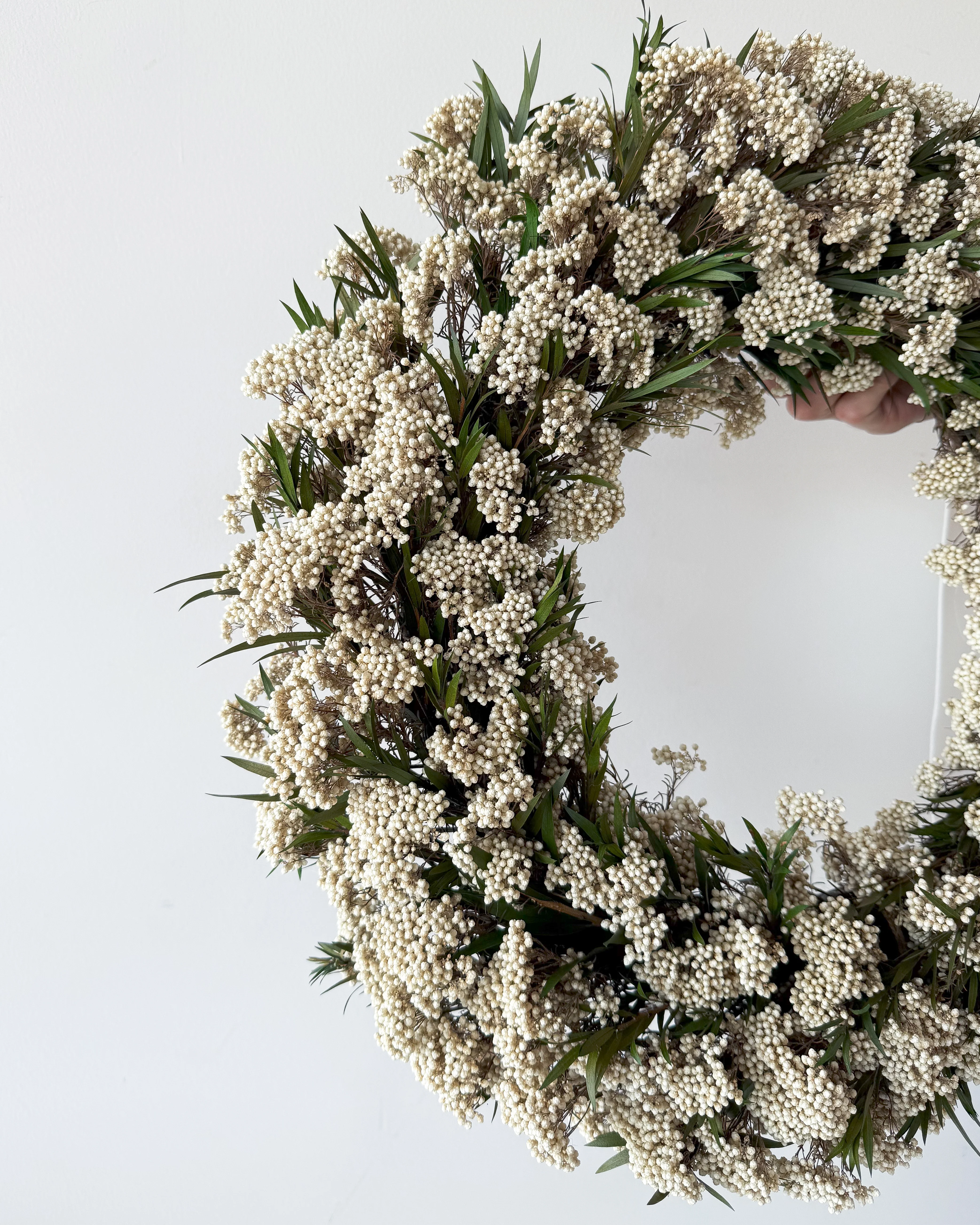 PRESERVED RICE FLOWER CHRISTMAS WREATH - IVORY - Image 4