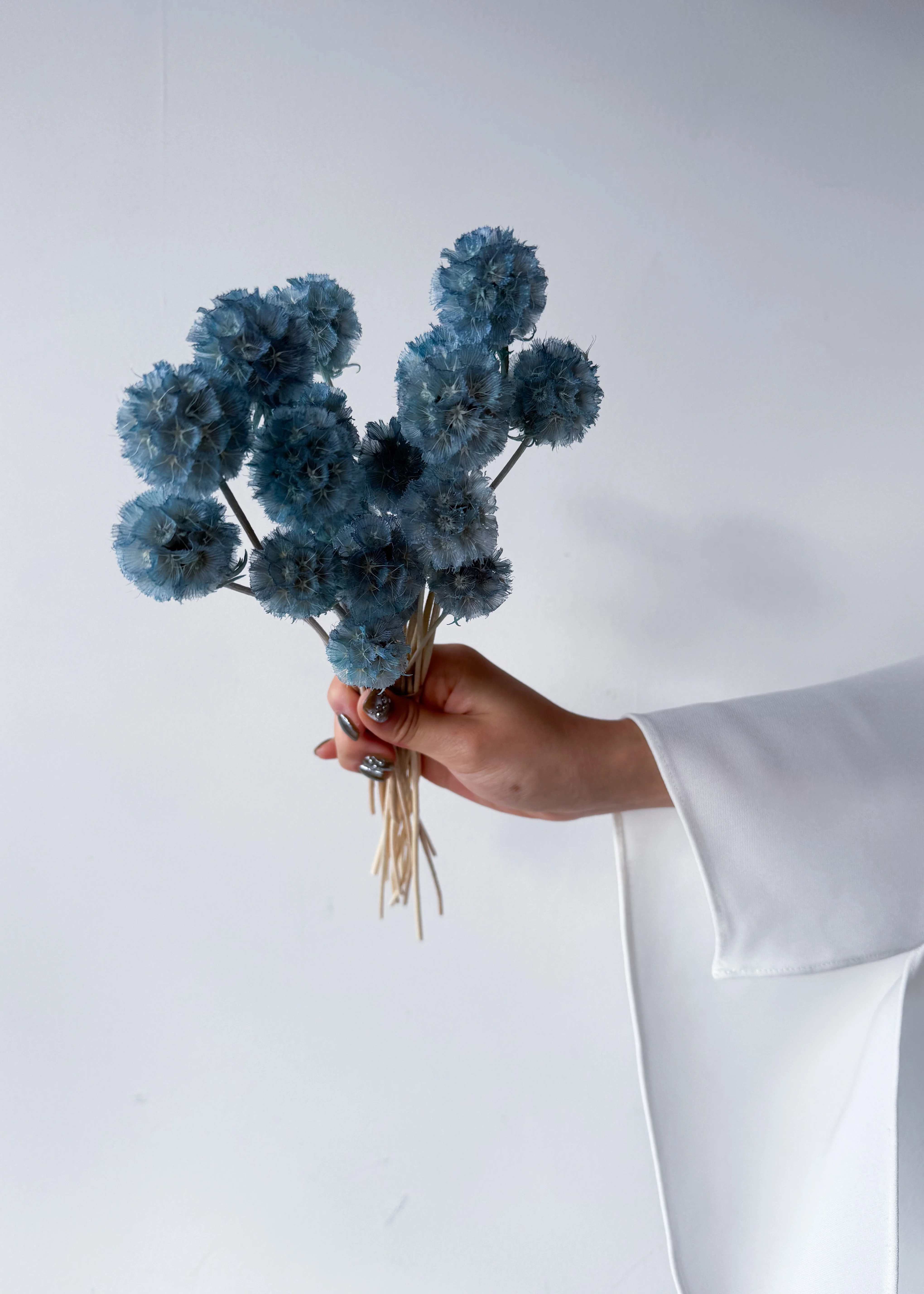 PRESERVED SCABIOSA | GREY BLUE - Image 3