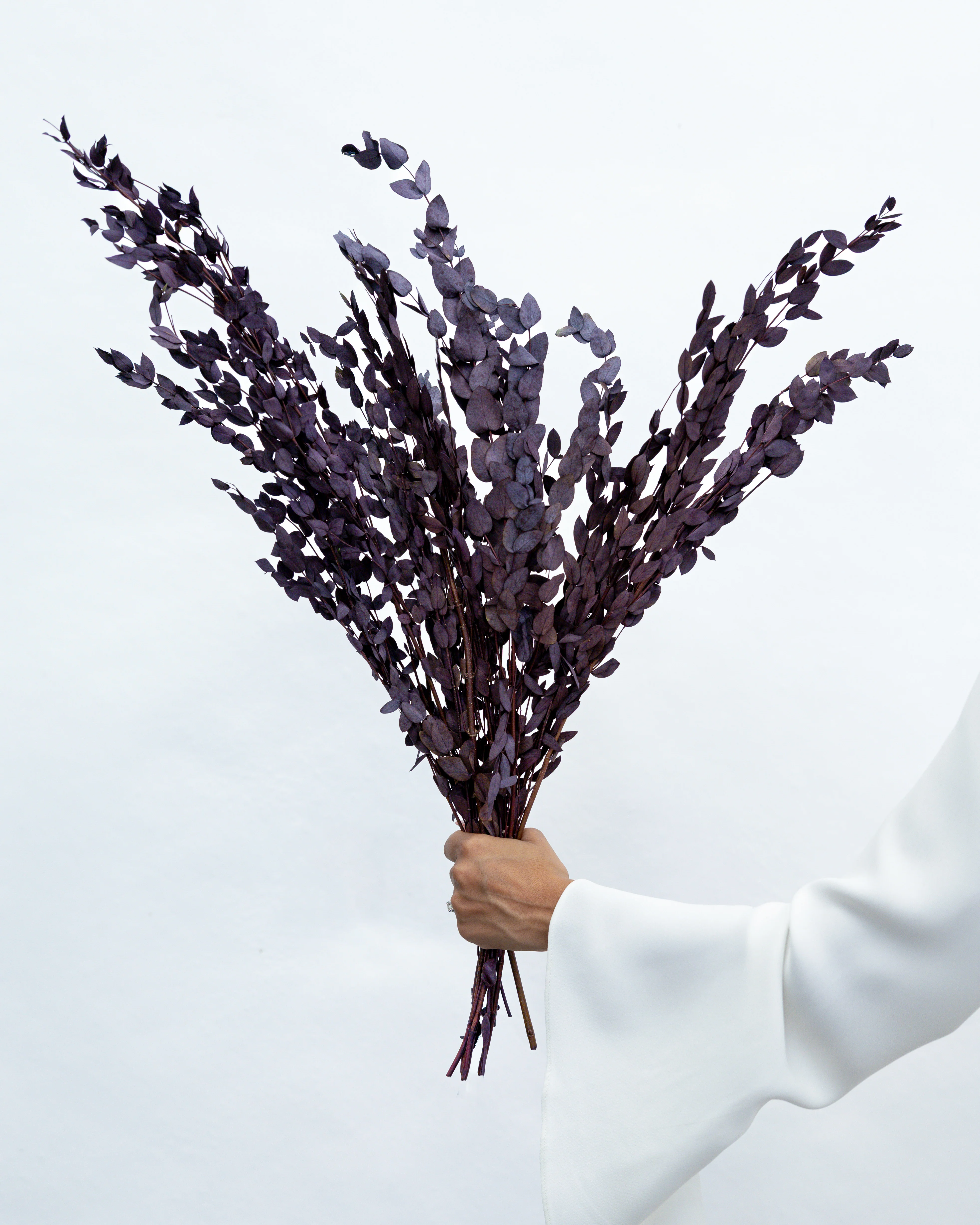 PRESERVED SMALL-LEAF GUM | DEEP PLUM