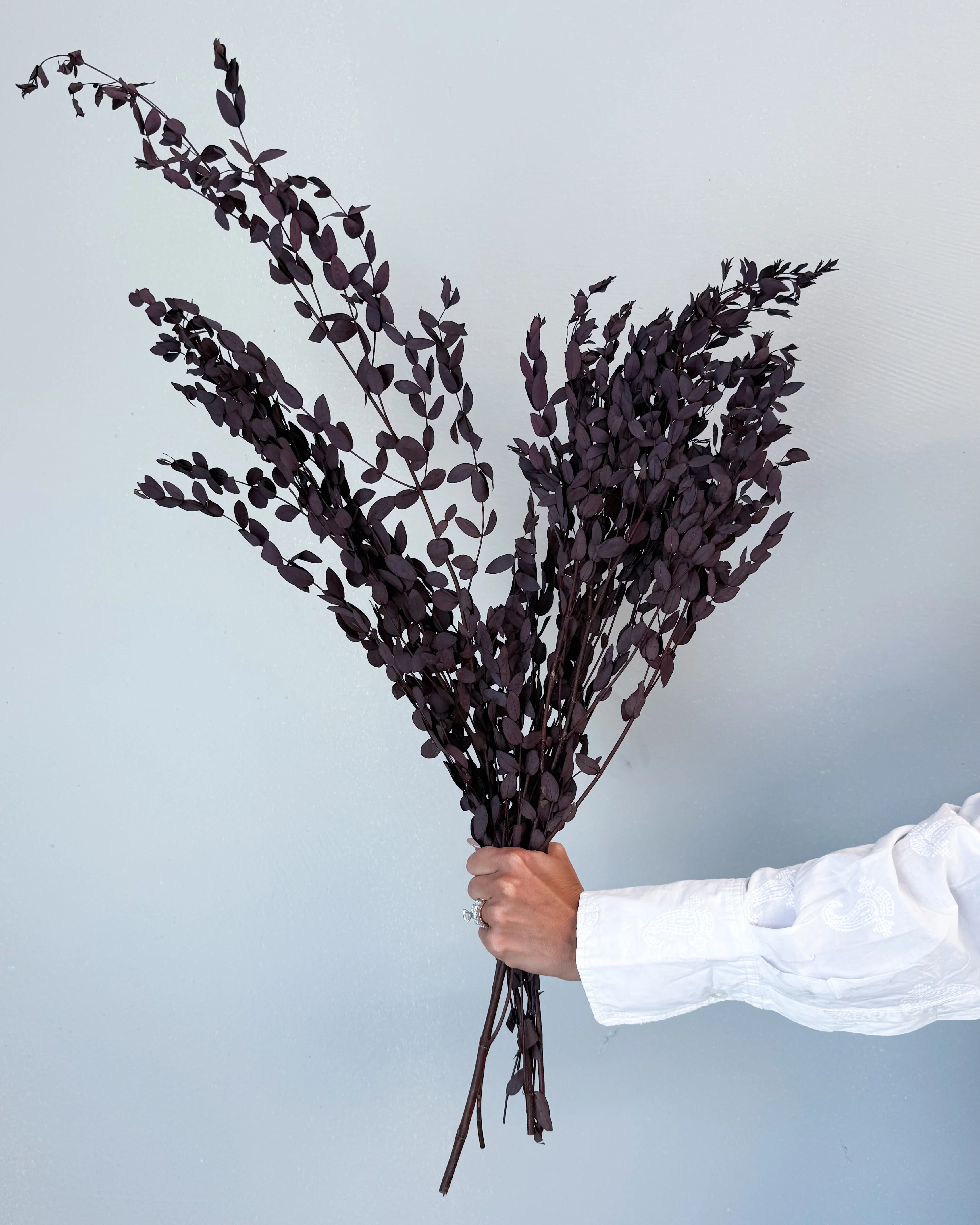 PRESERVED SMALL-LEAF GUM | DEEP PLUM - Image 3