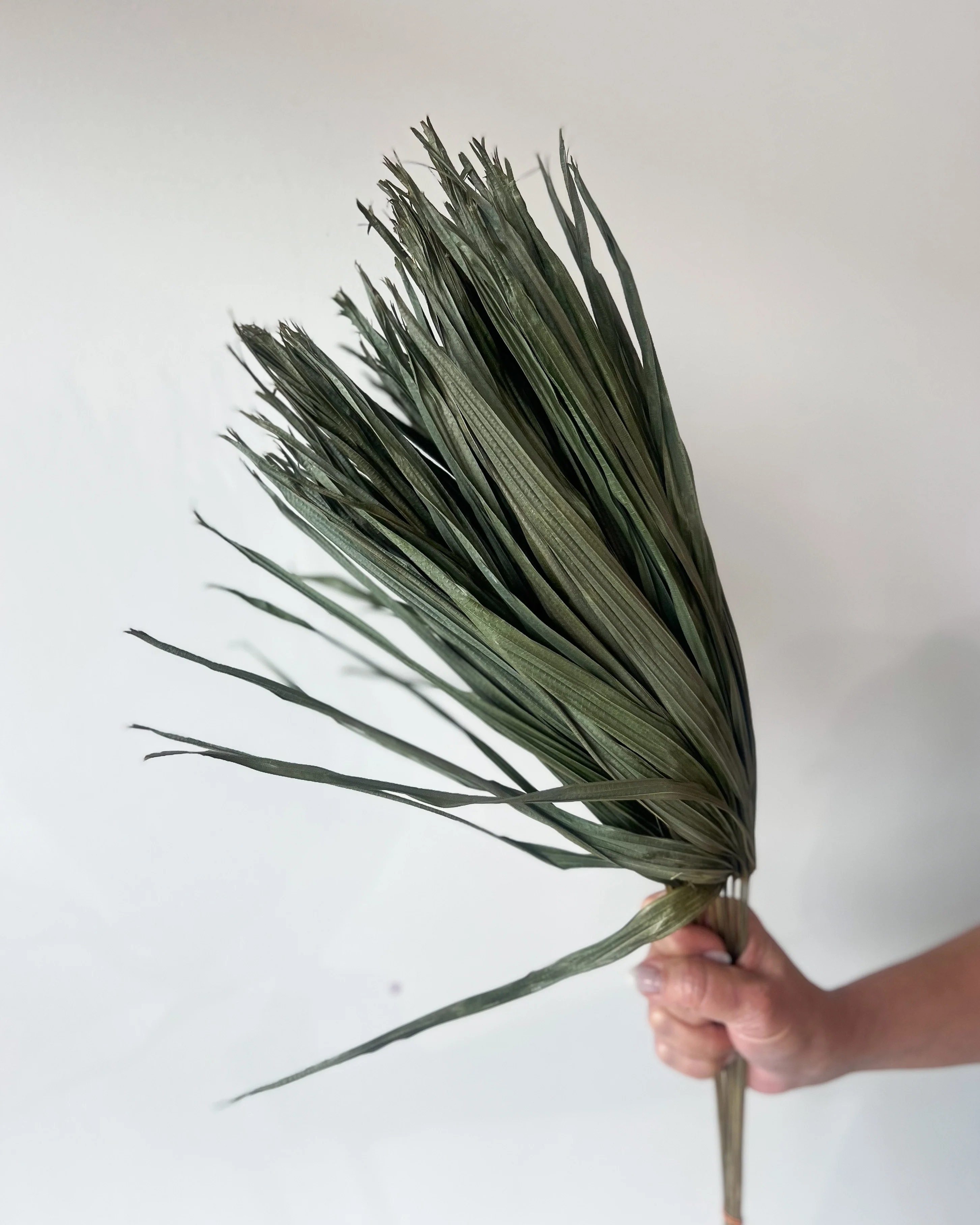 DRIED PALMS | NATURAL - Image 3