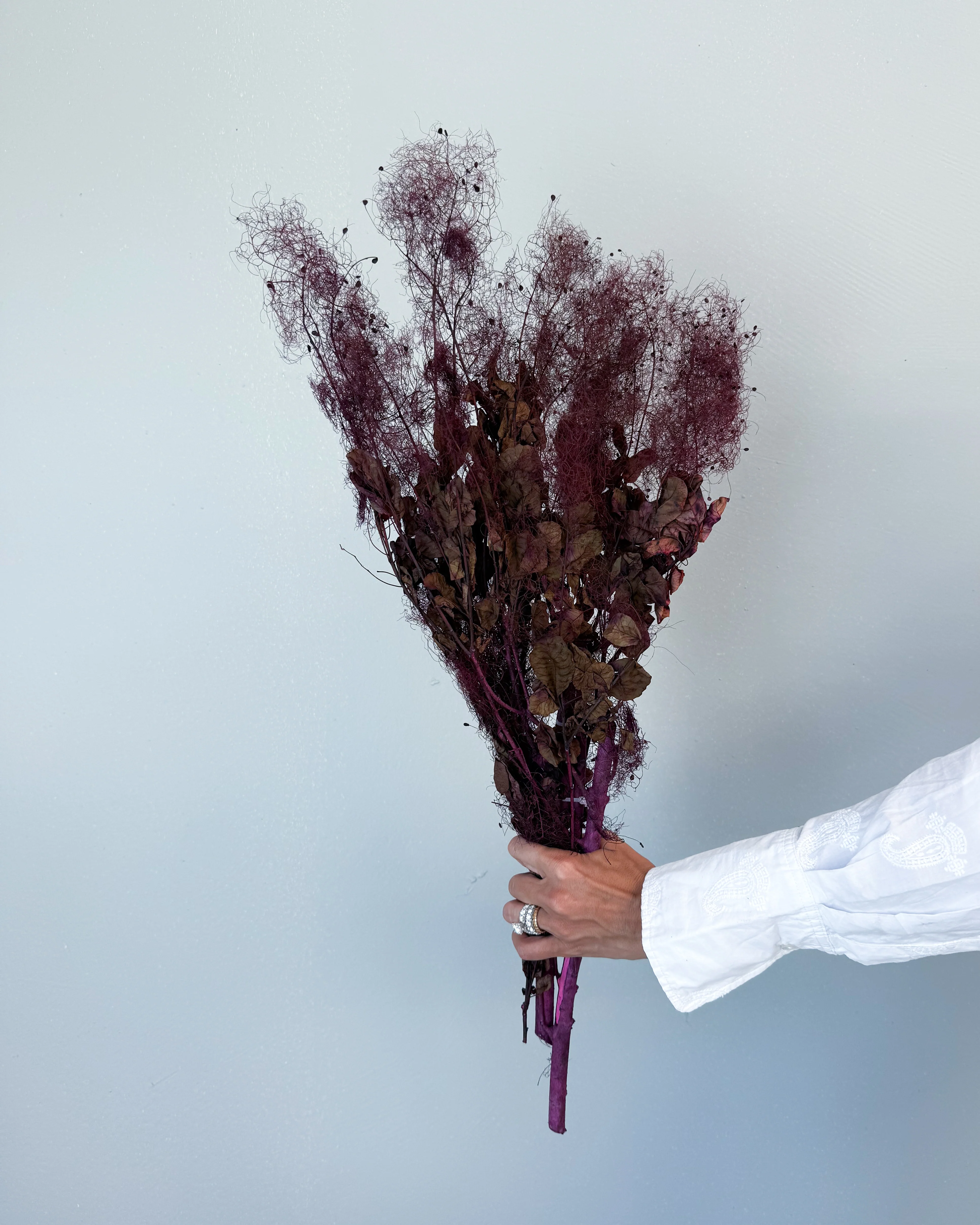 PRESERVED SMOKEBUSH - Image 3