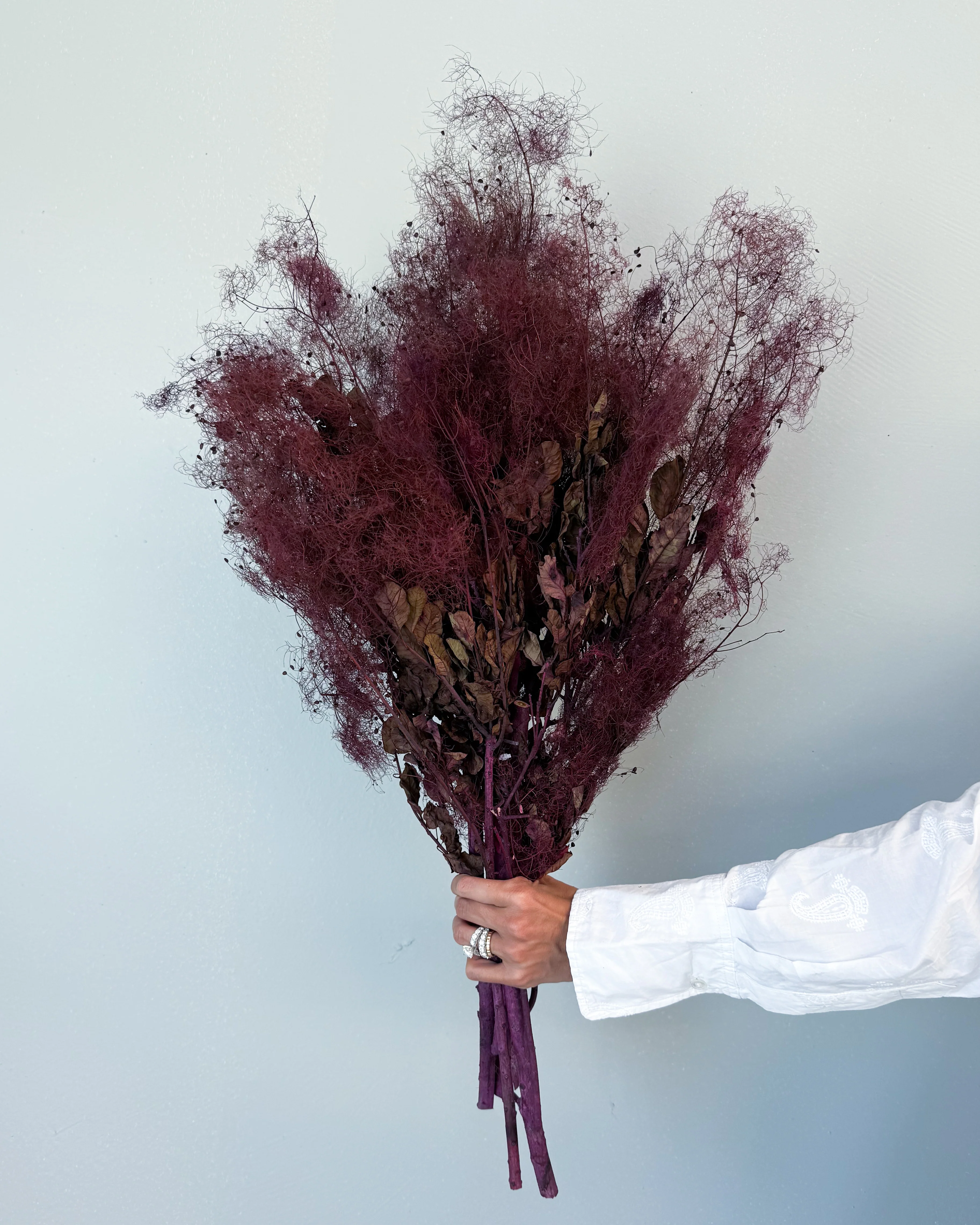 PRESERVED SMOKEBUSH - Image 4