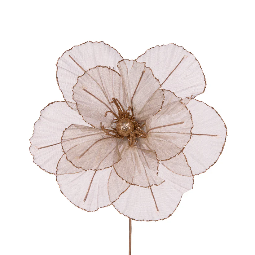 SHEER COPPER CAMELLIA