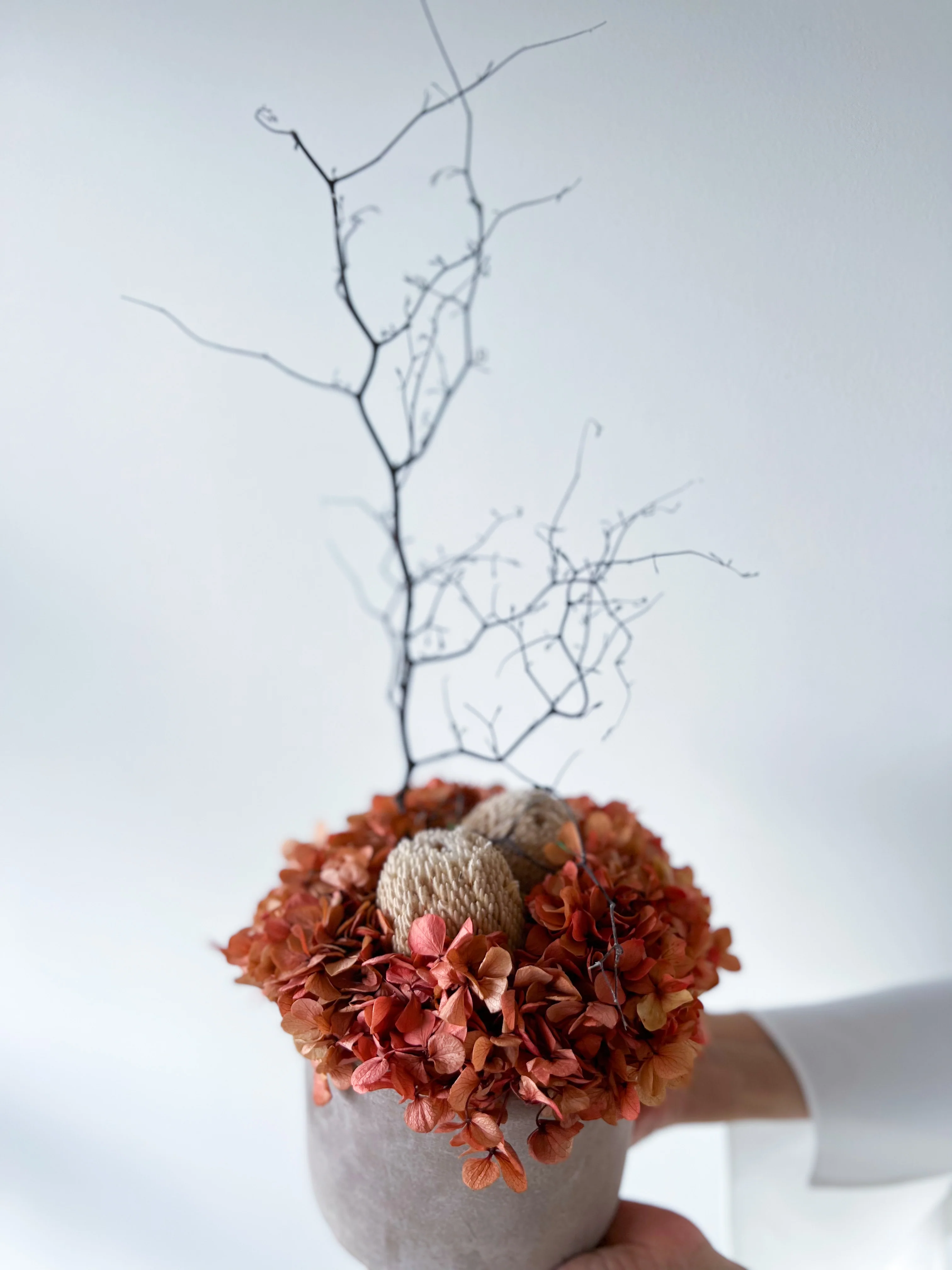 THE MAHA | LARGE-LEAF BURNT ORANGE - Image 2